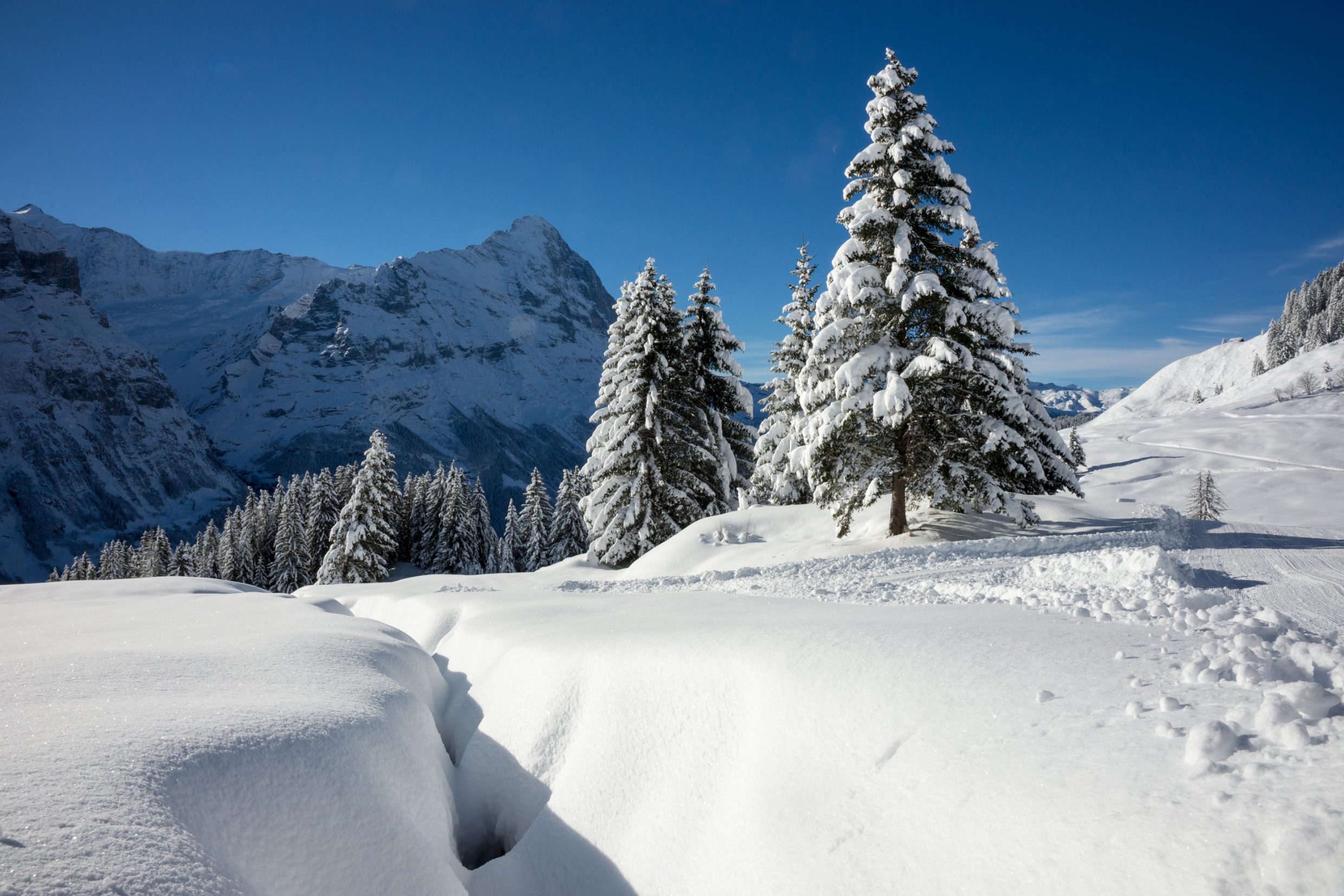 Winterwonderland Grindelwald 