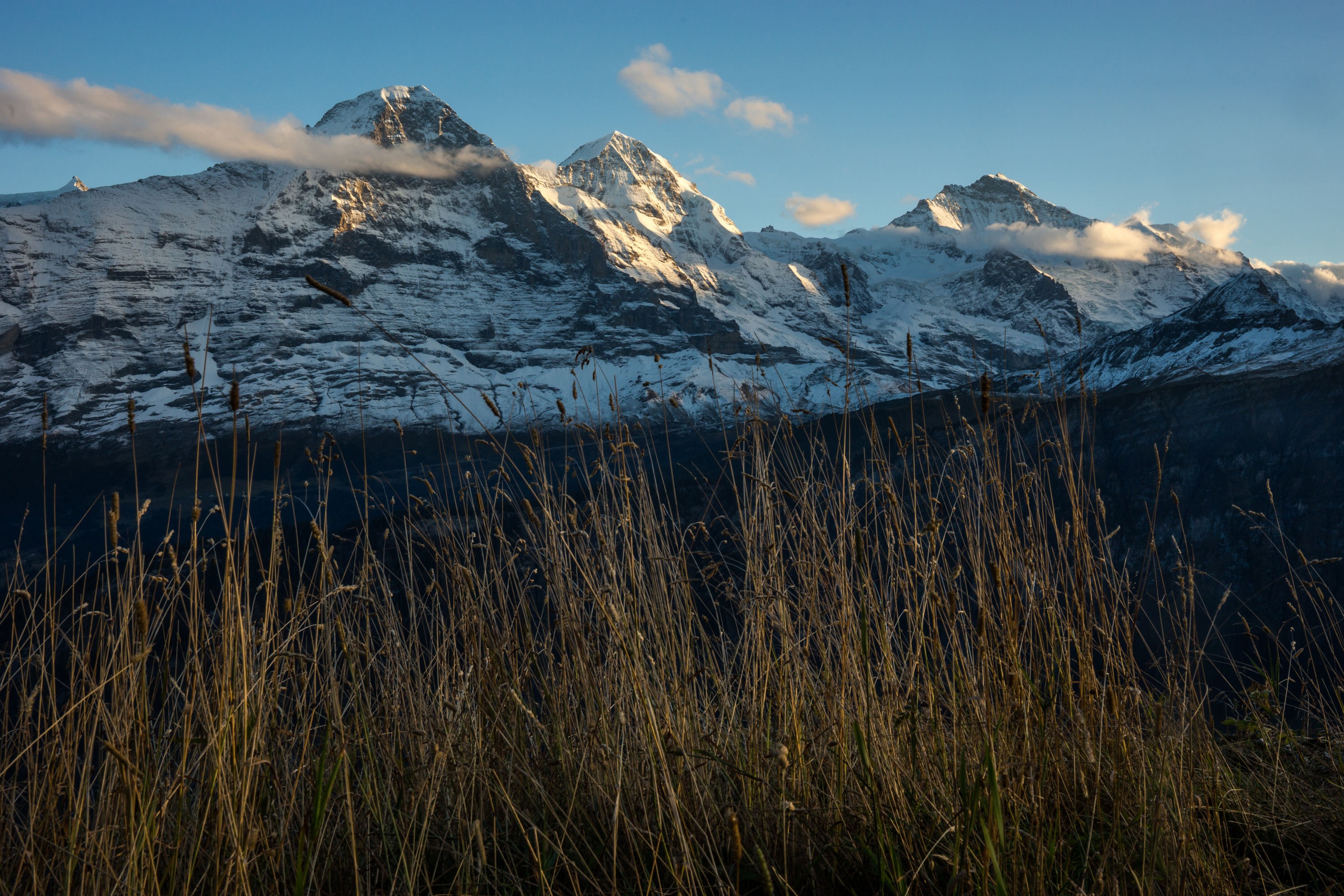 Das Dreigestirn 