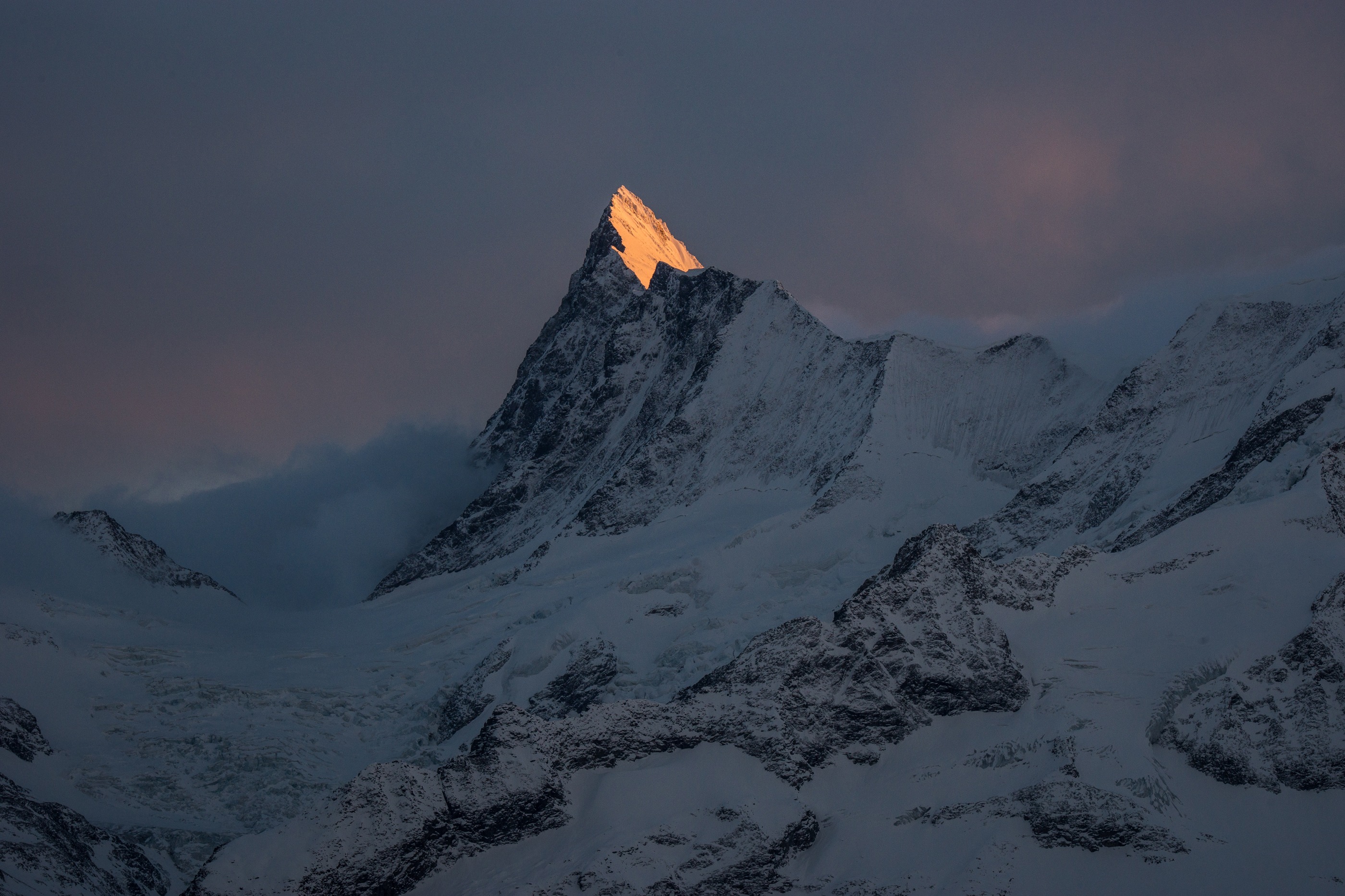 Alpenglühen am Finsteraarhorn 