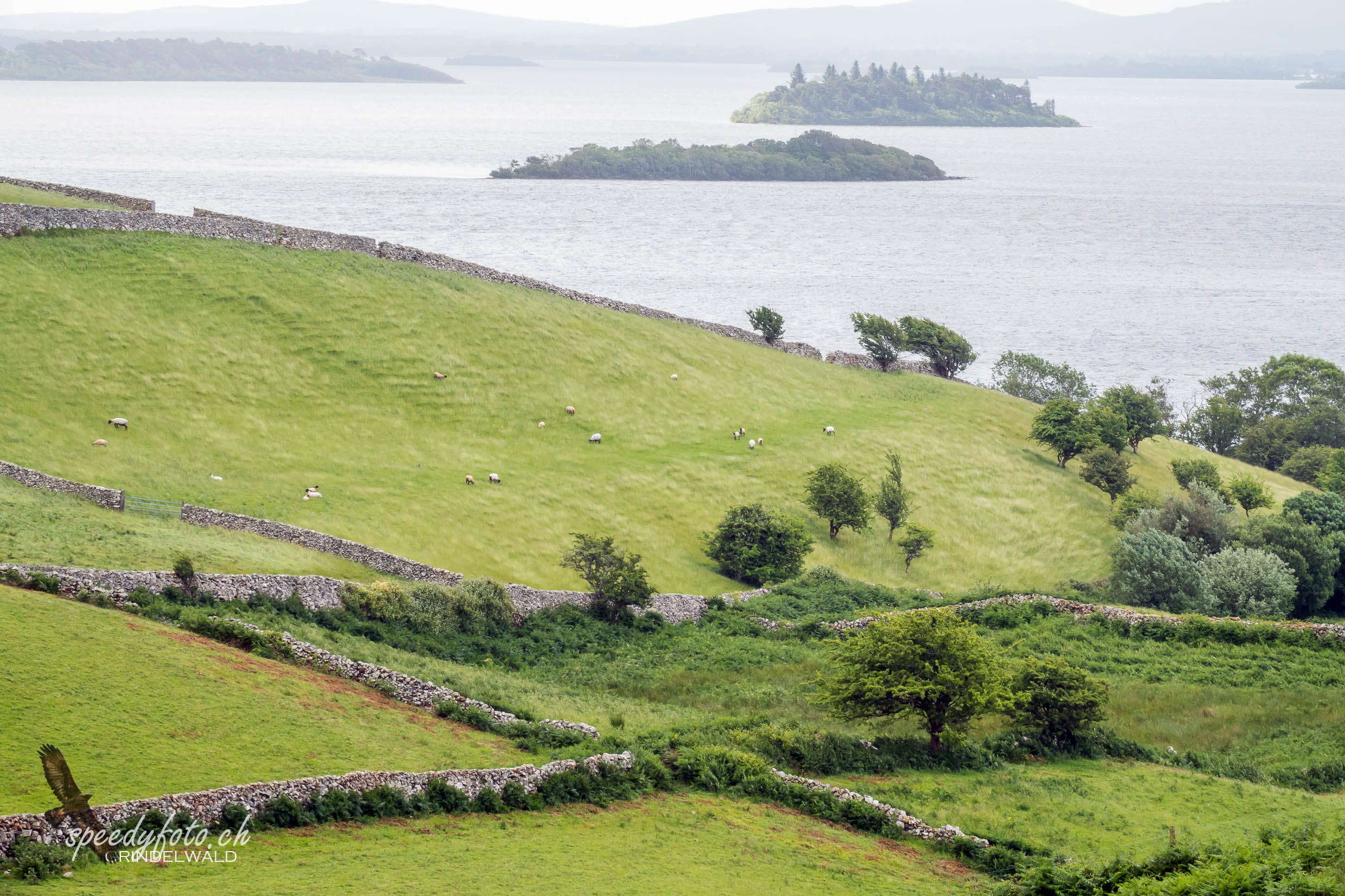 Irish Landscape