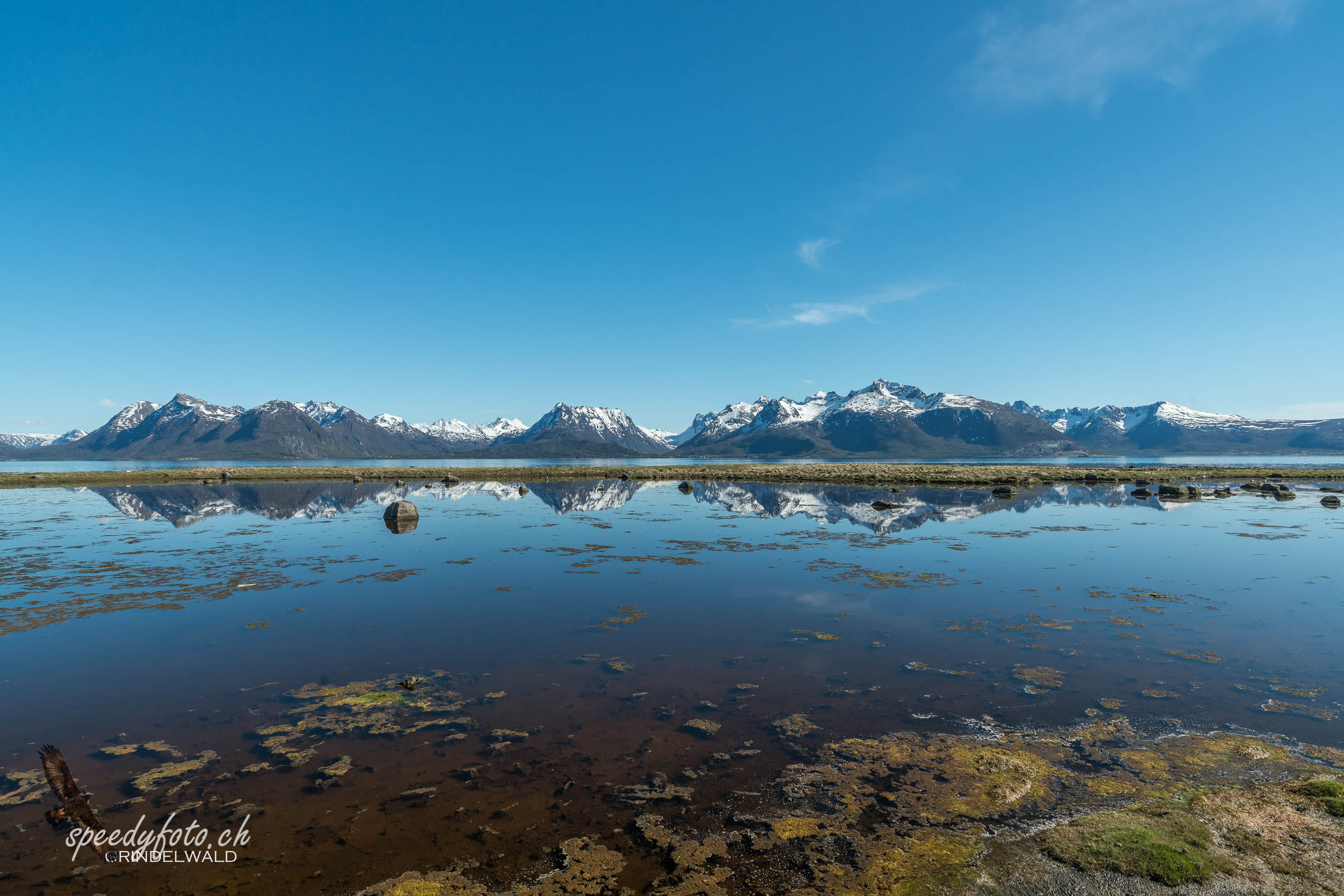 Lofoten