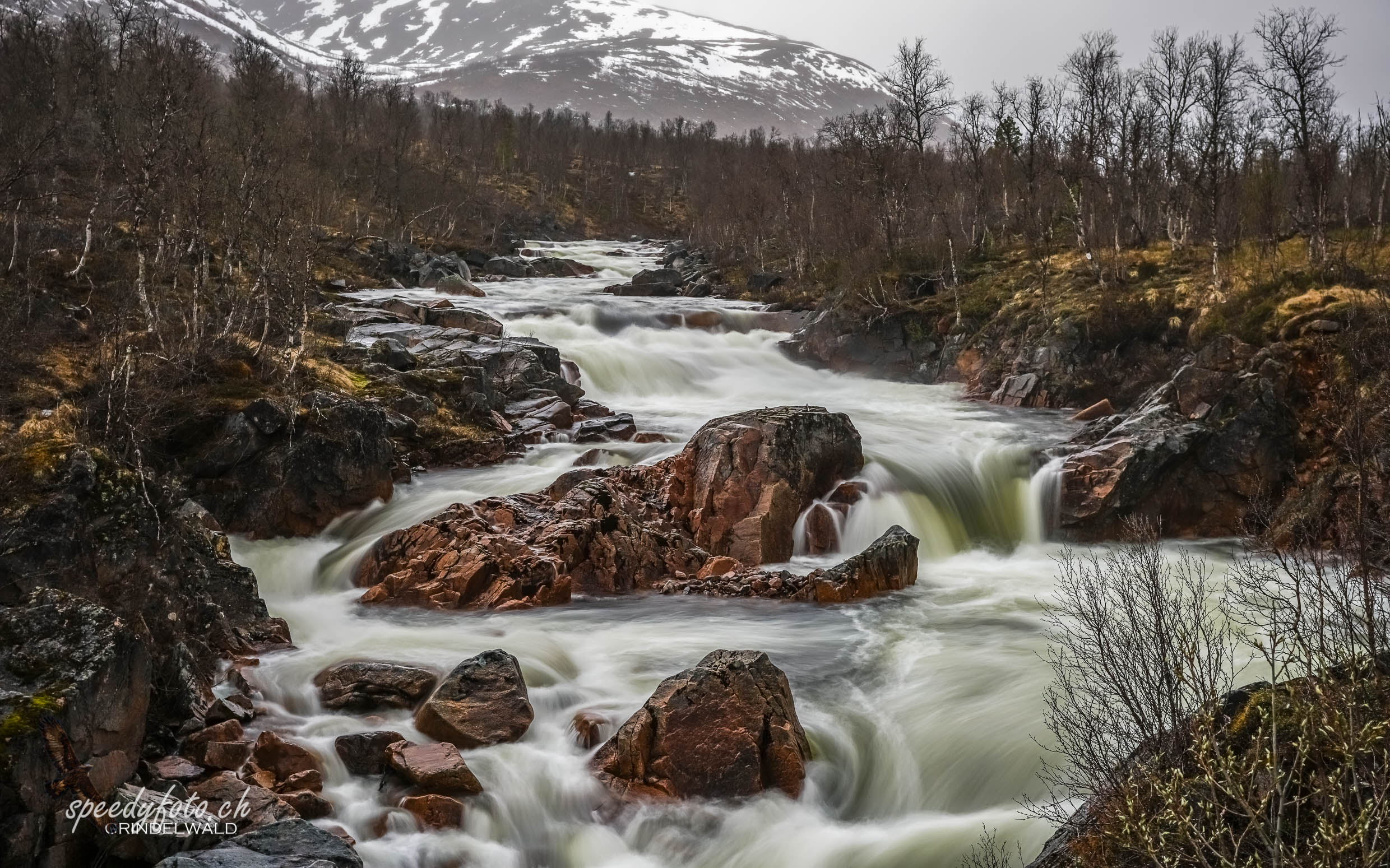 Lofoten