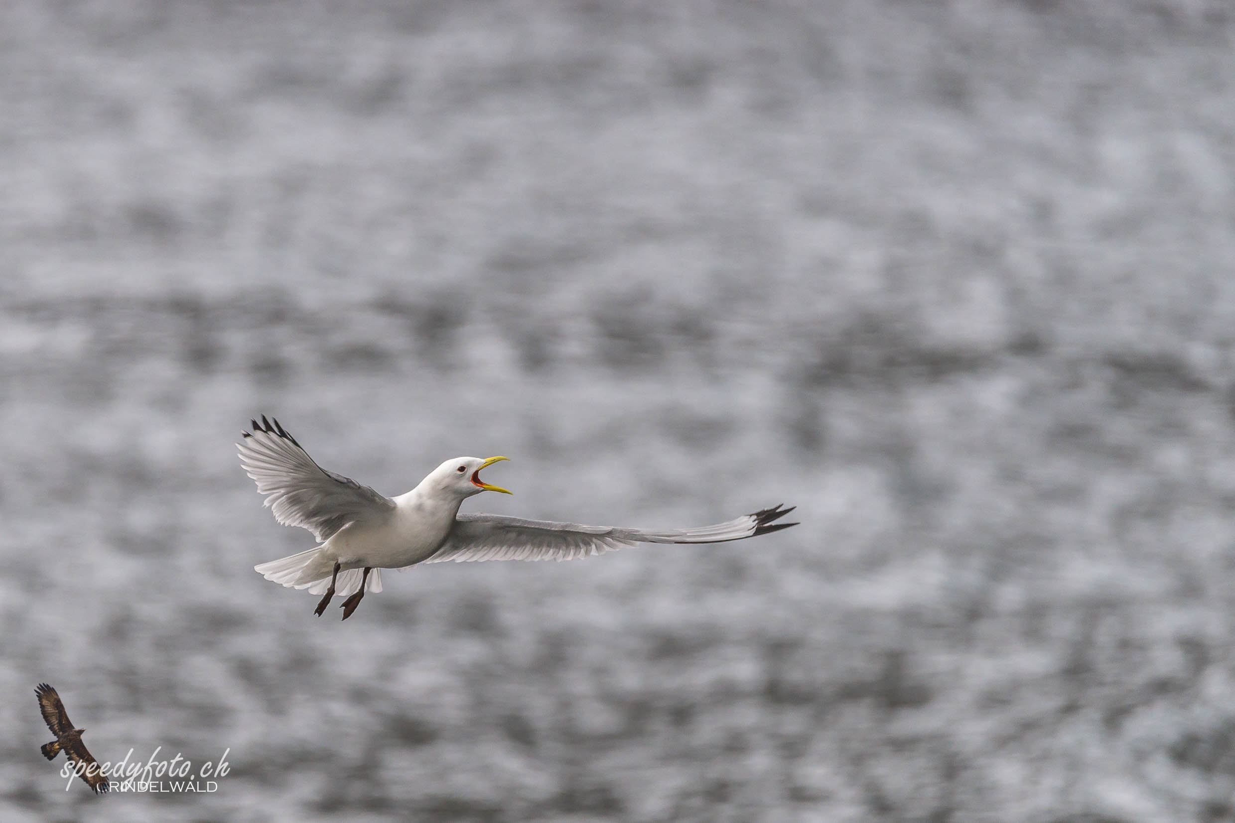 Lofoten