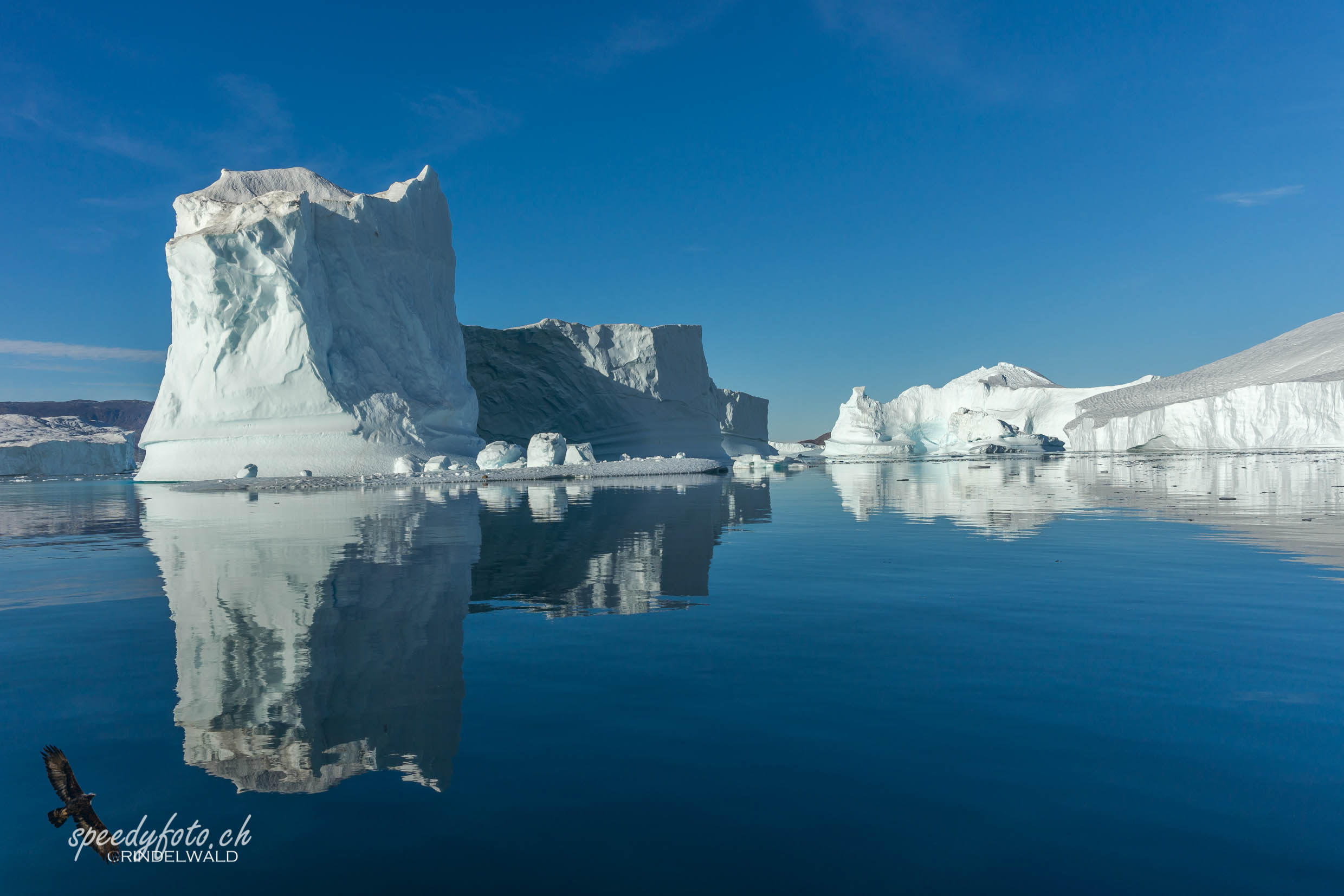 Icebergs, Harefjord