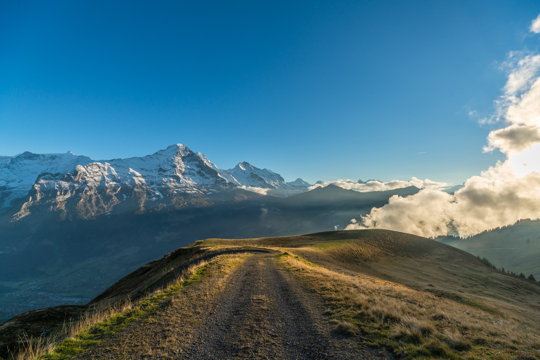 Der Weg zum Glück 