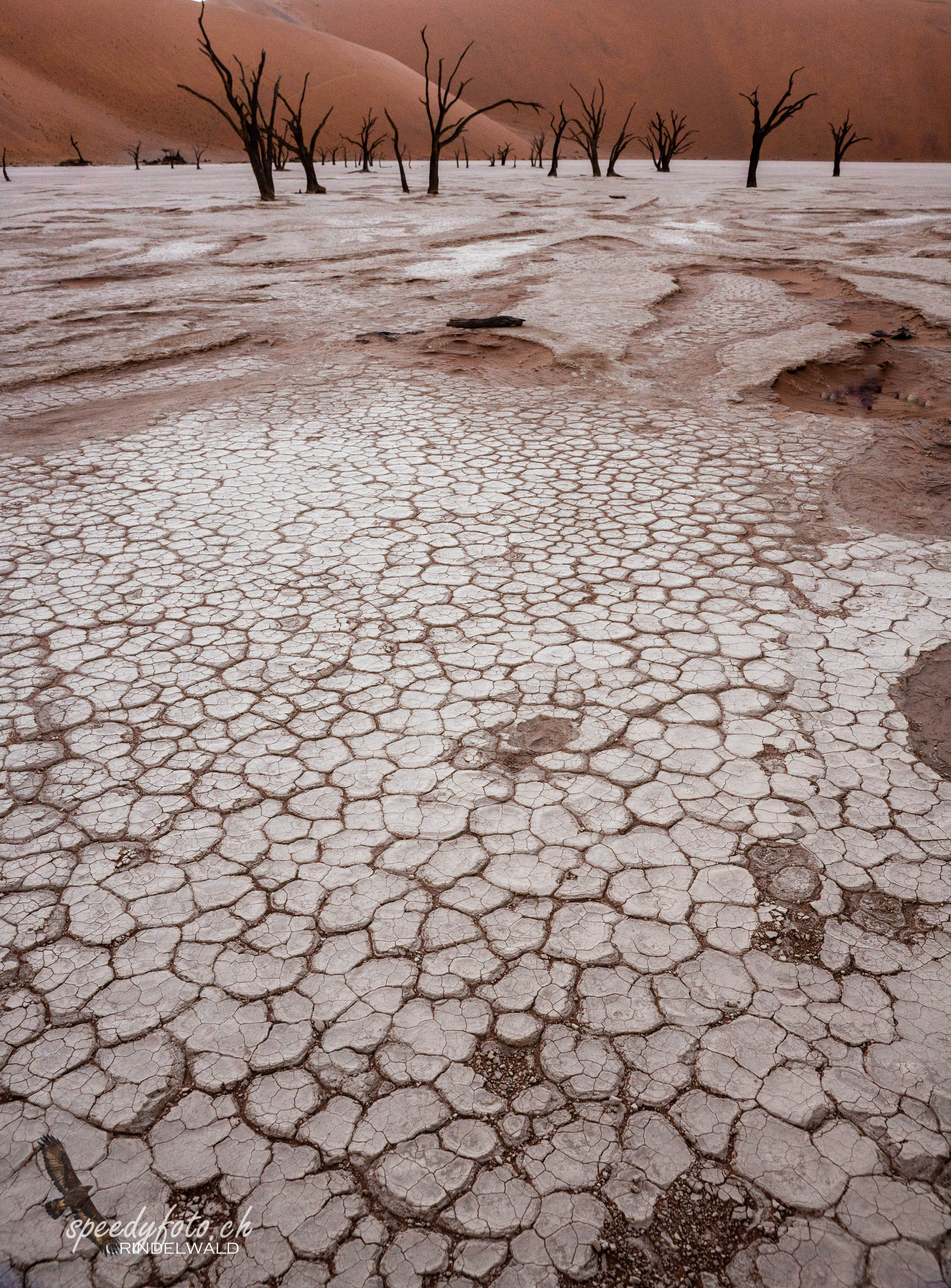 The Patterns - Sossusvlei 