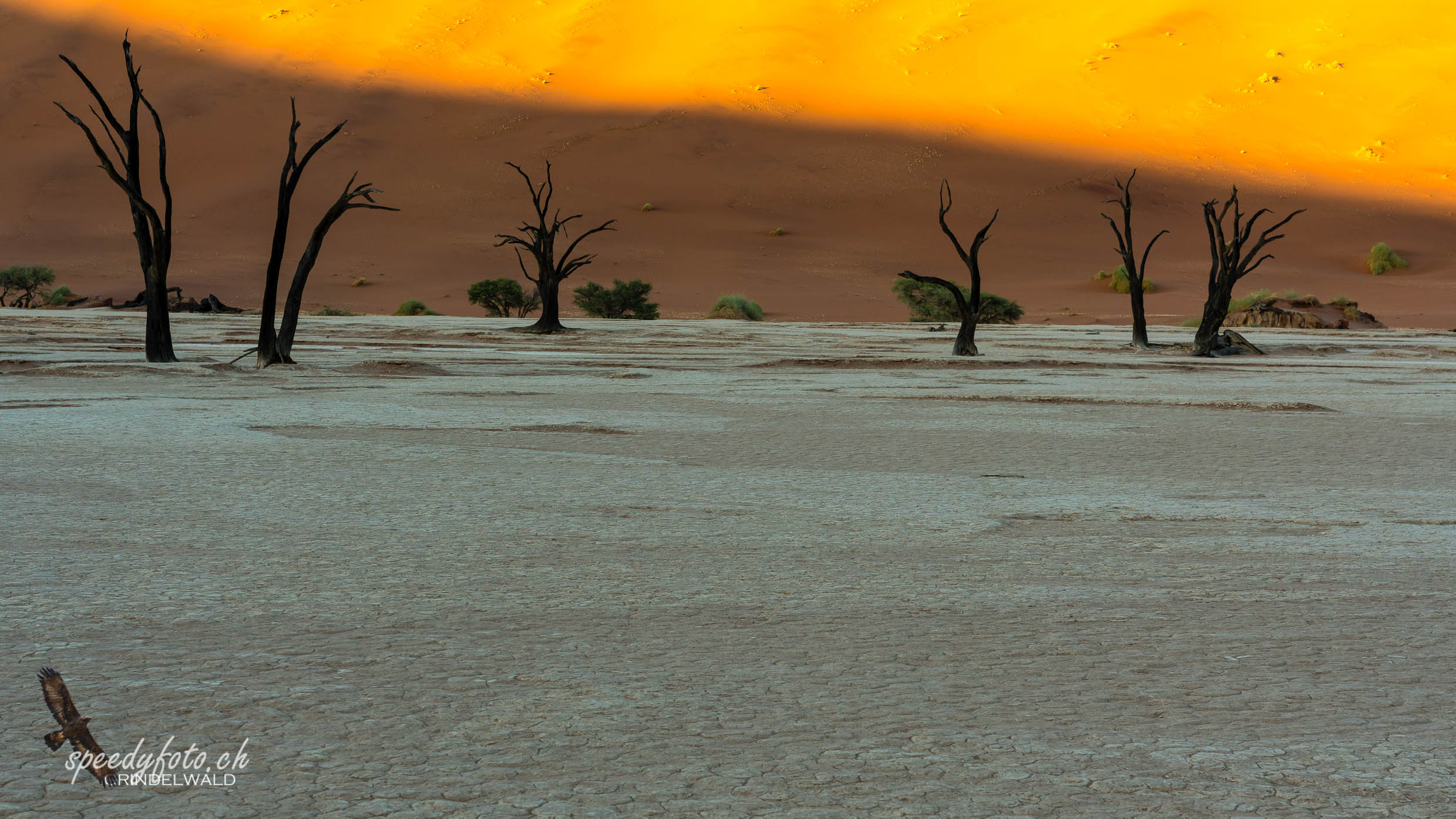 Before Sunrise - Sossusvlei 