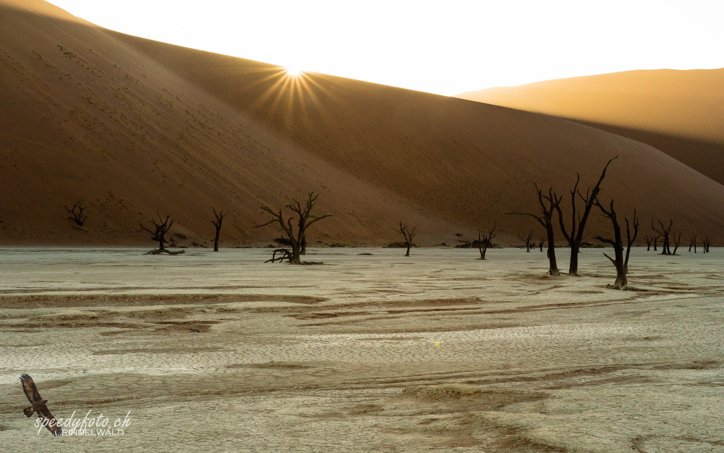 First Sunshine - Sossusvlei 