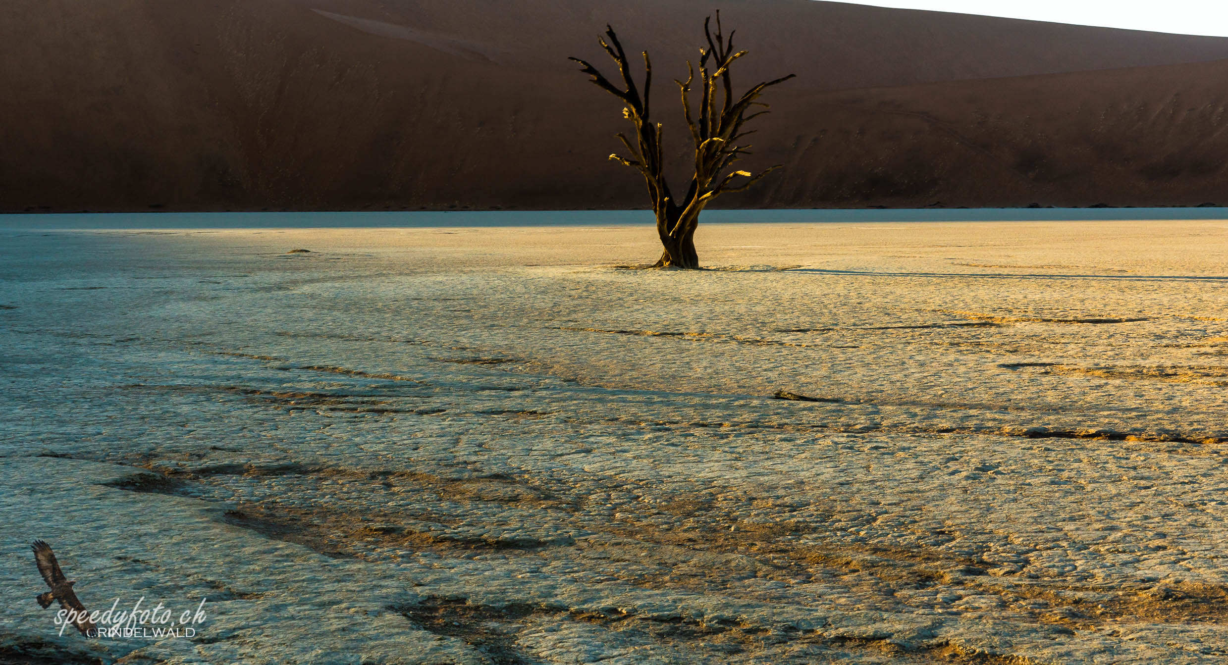 First Light - Sossusvlei 