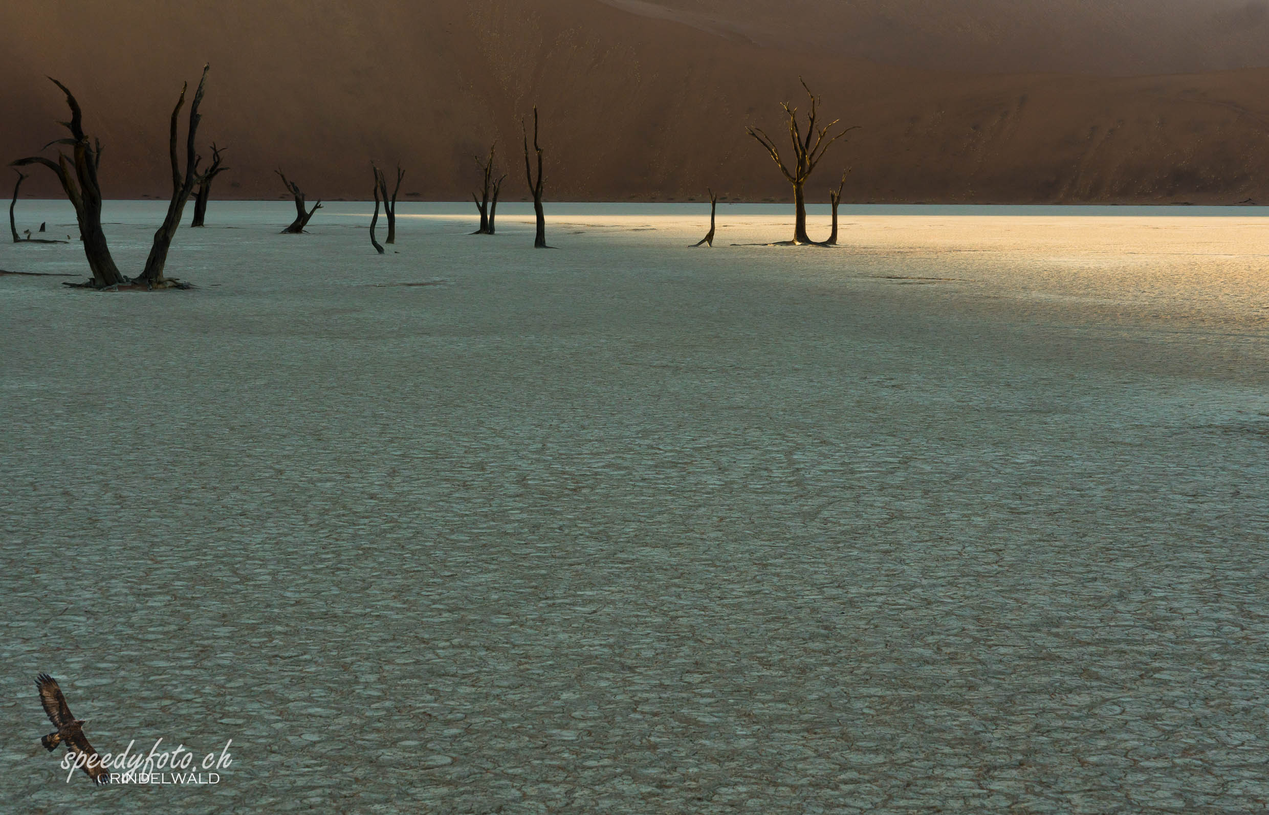 Lonely Place - Sossuvlei 