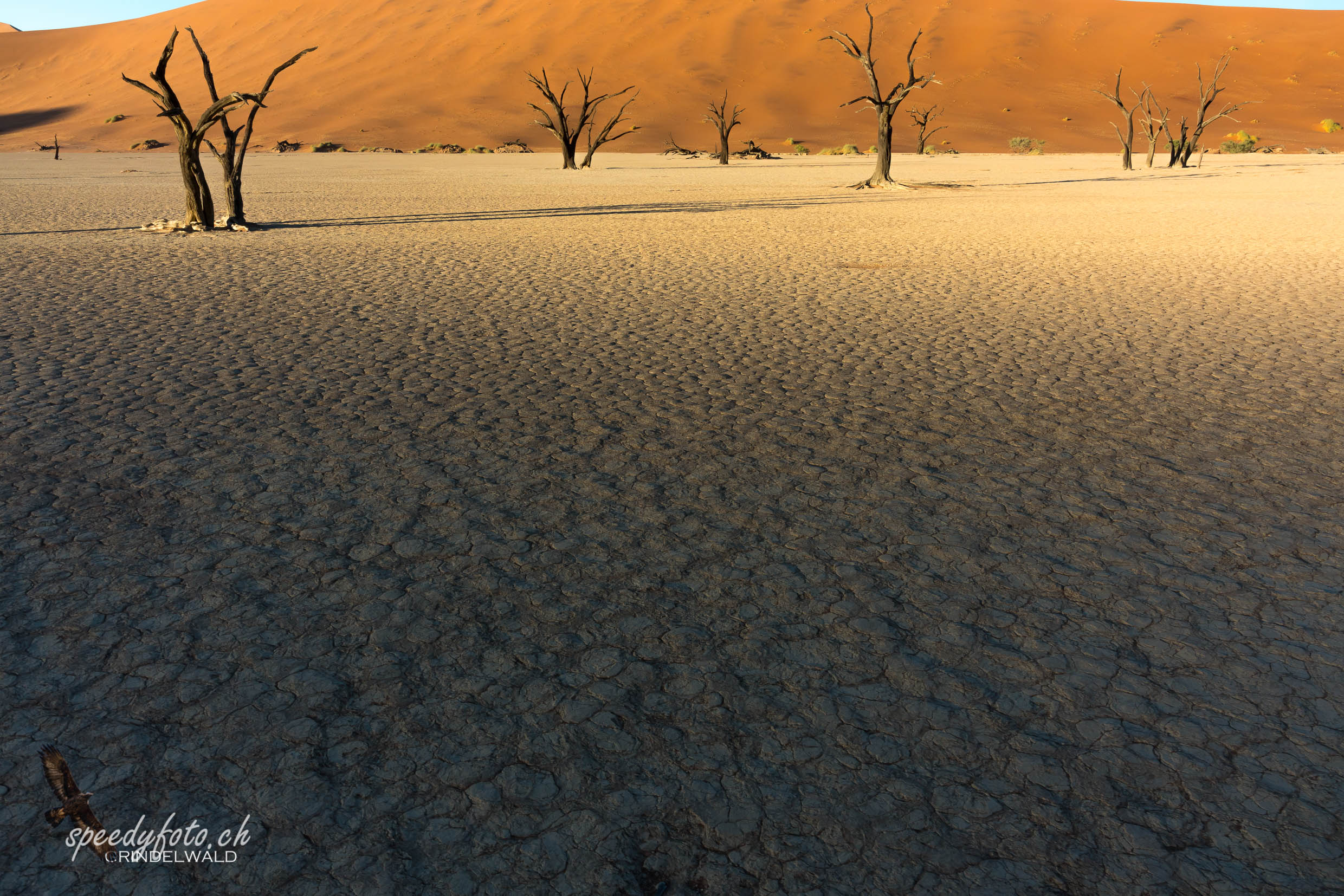 Here comes the Light - Sossusvlei 