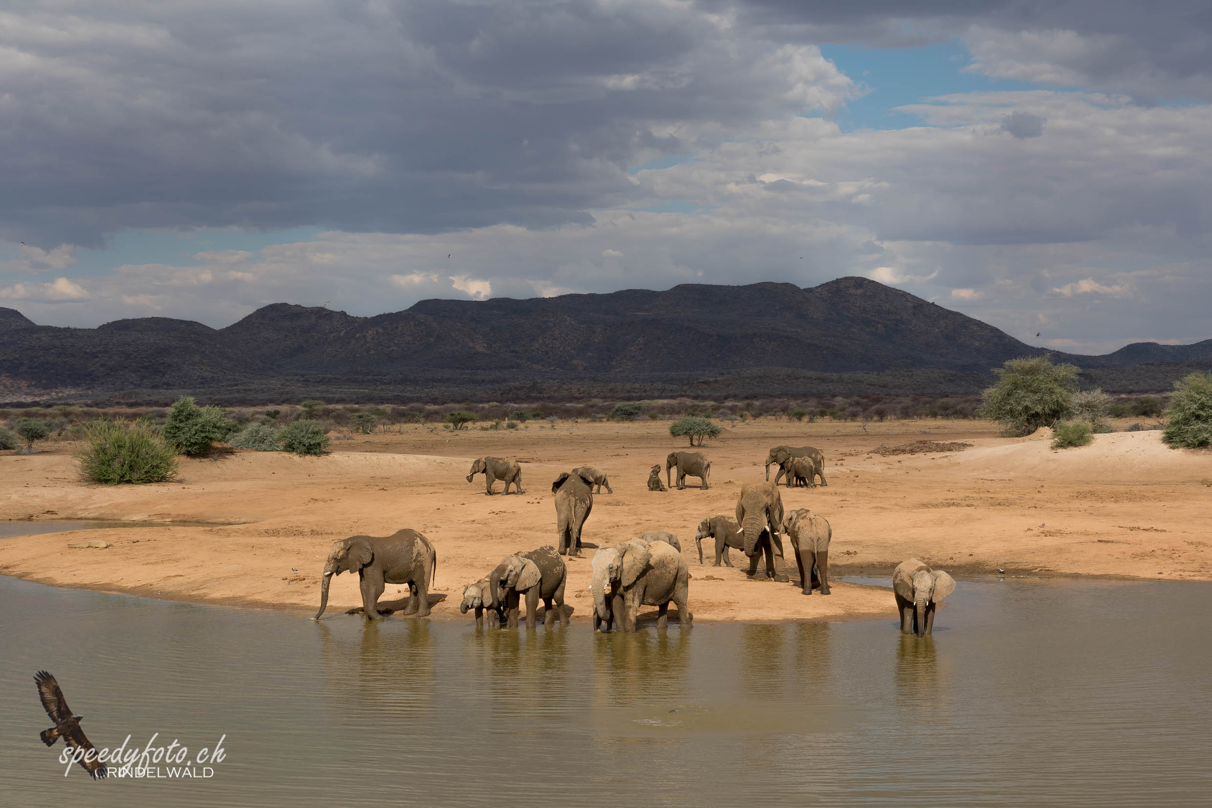 Elephant Overlook 