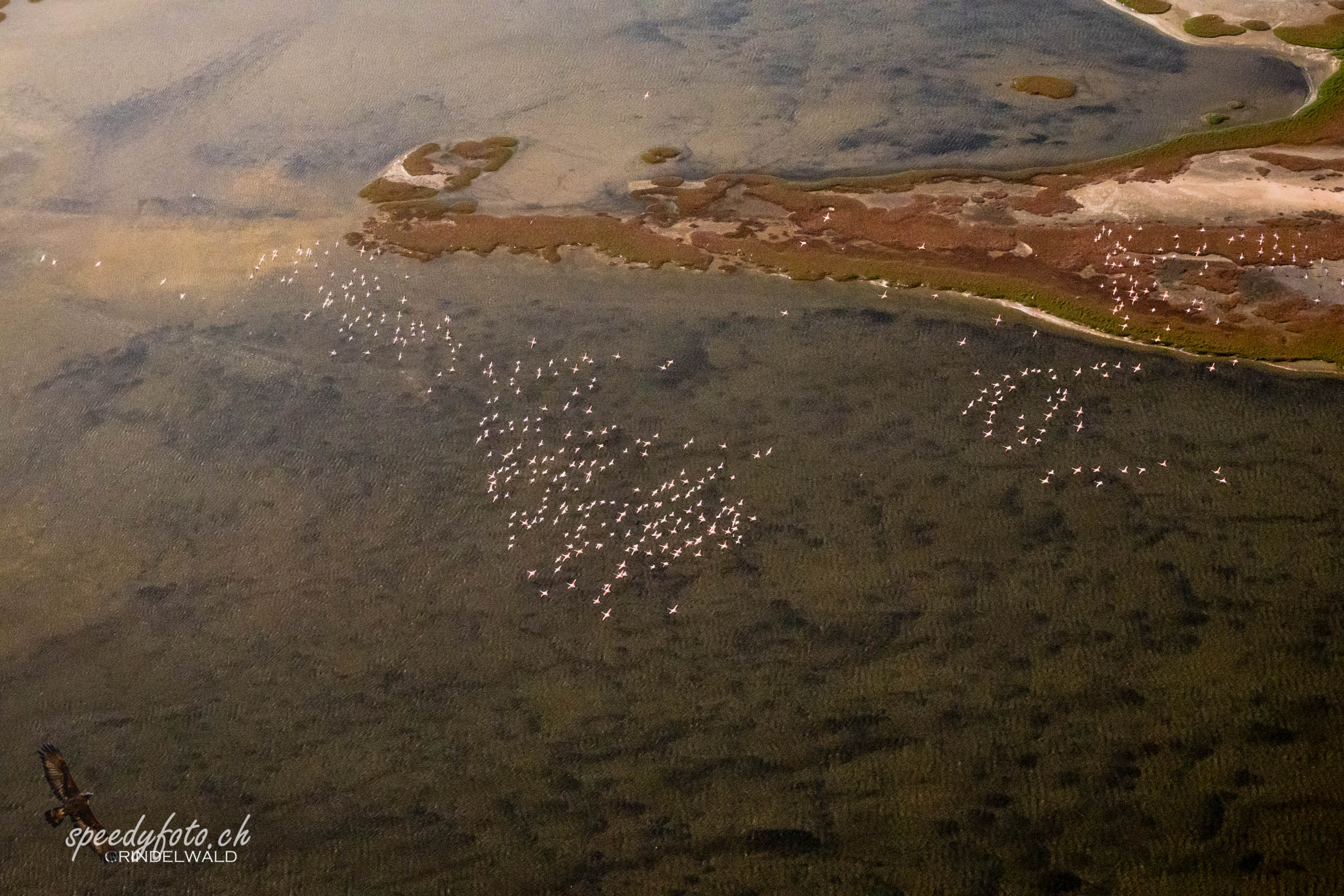 Aerial View - by Helicopter 