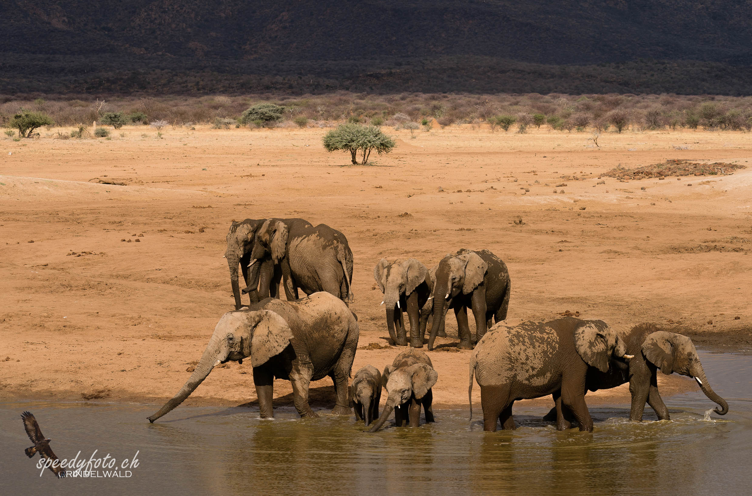 Thirsty meeting 