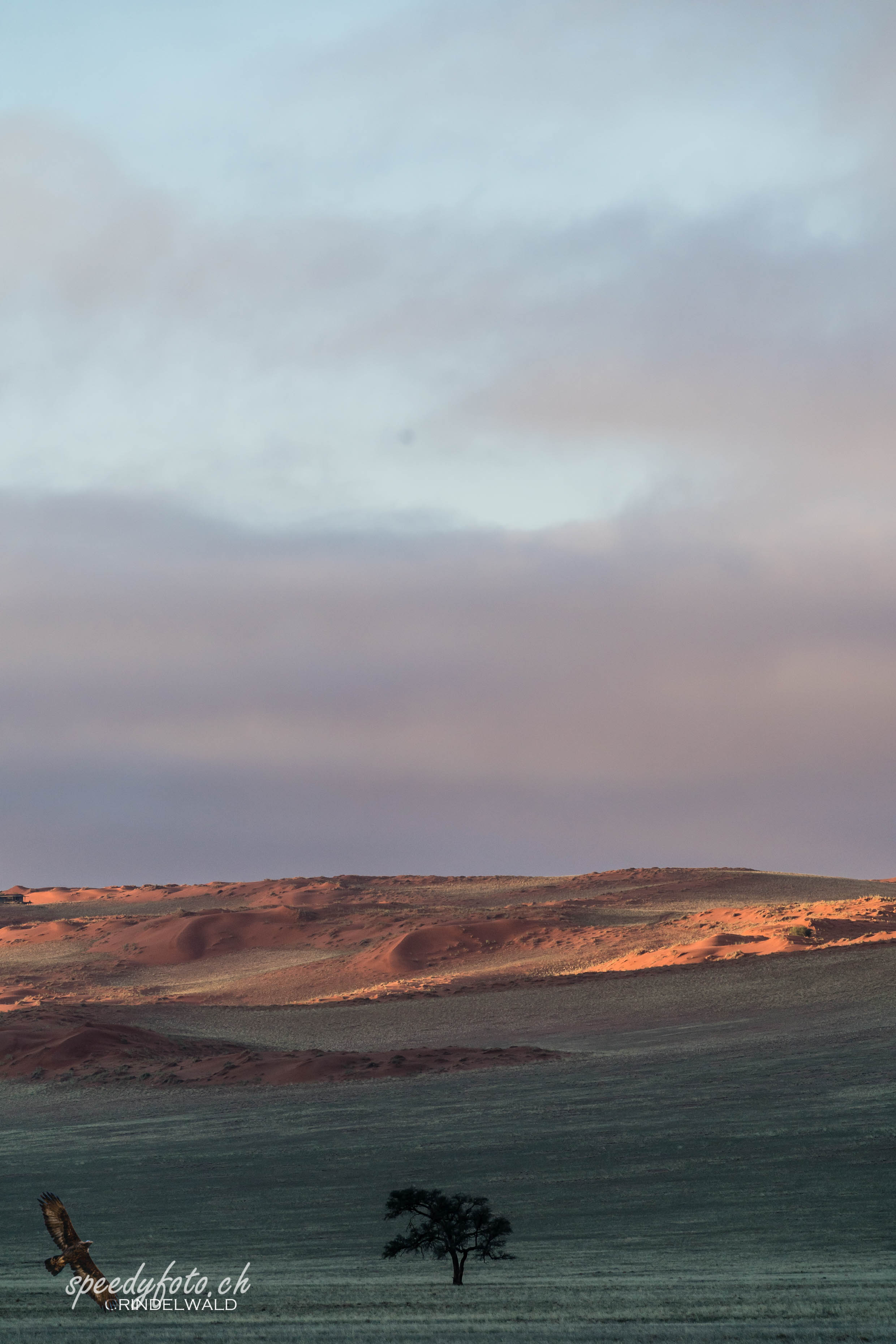 Landscape Namibia