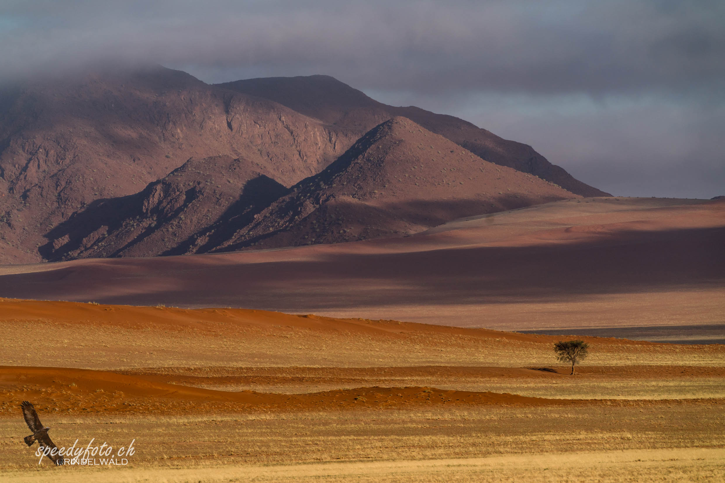 Colorful Landscape