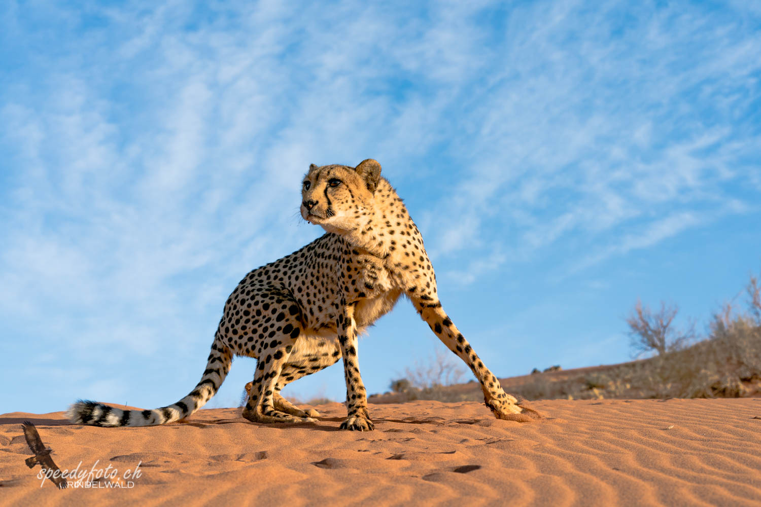 Namibia 2018