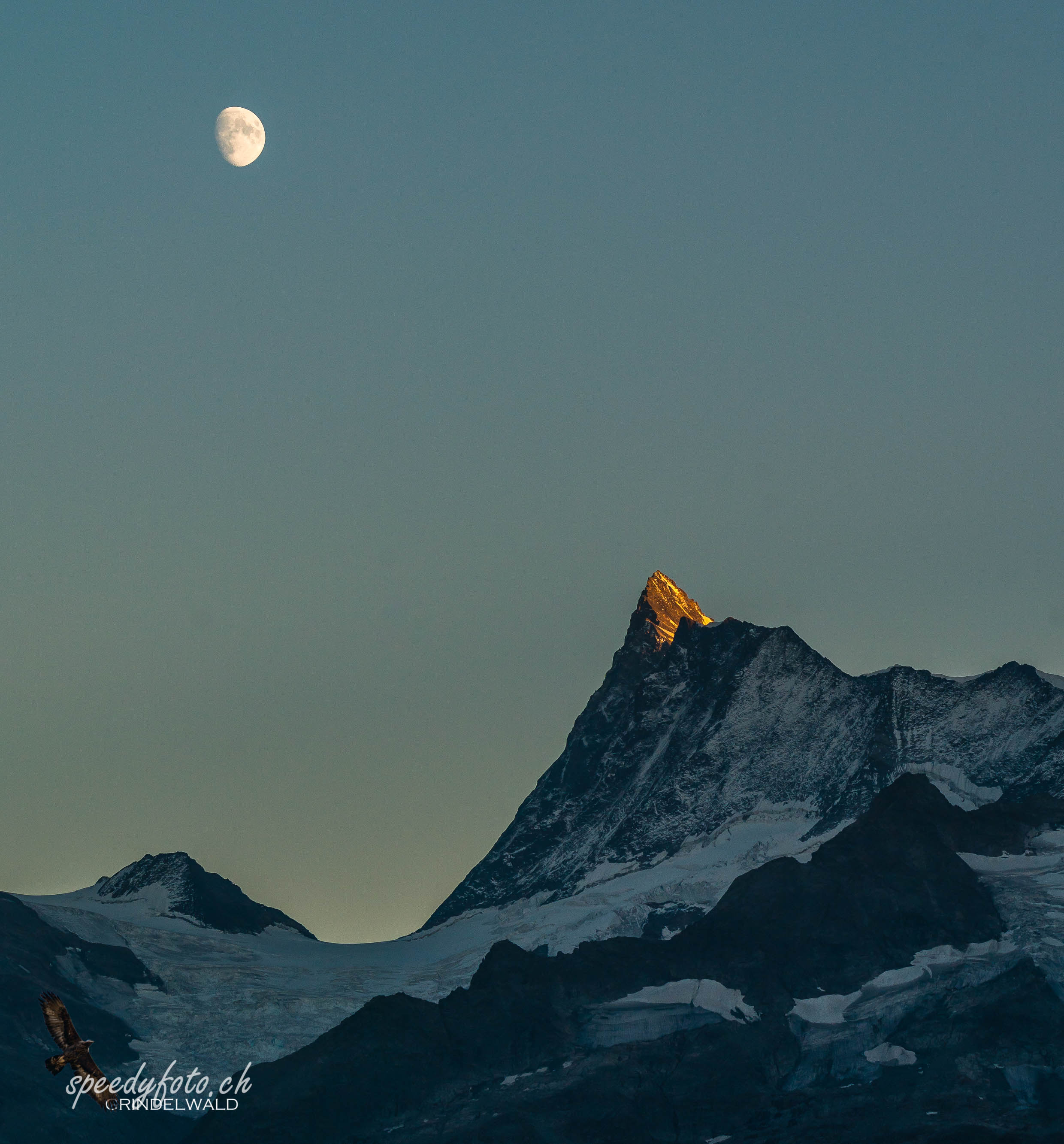 Last light - Finsteraarhorn 