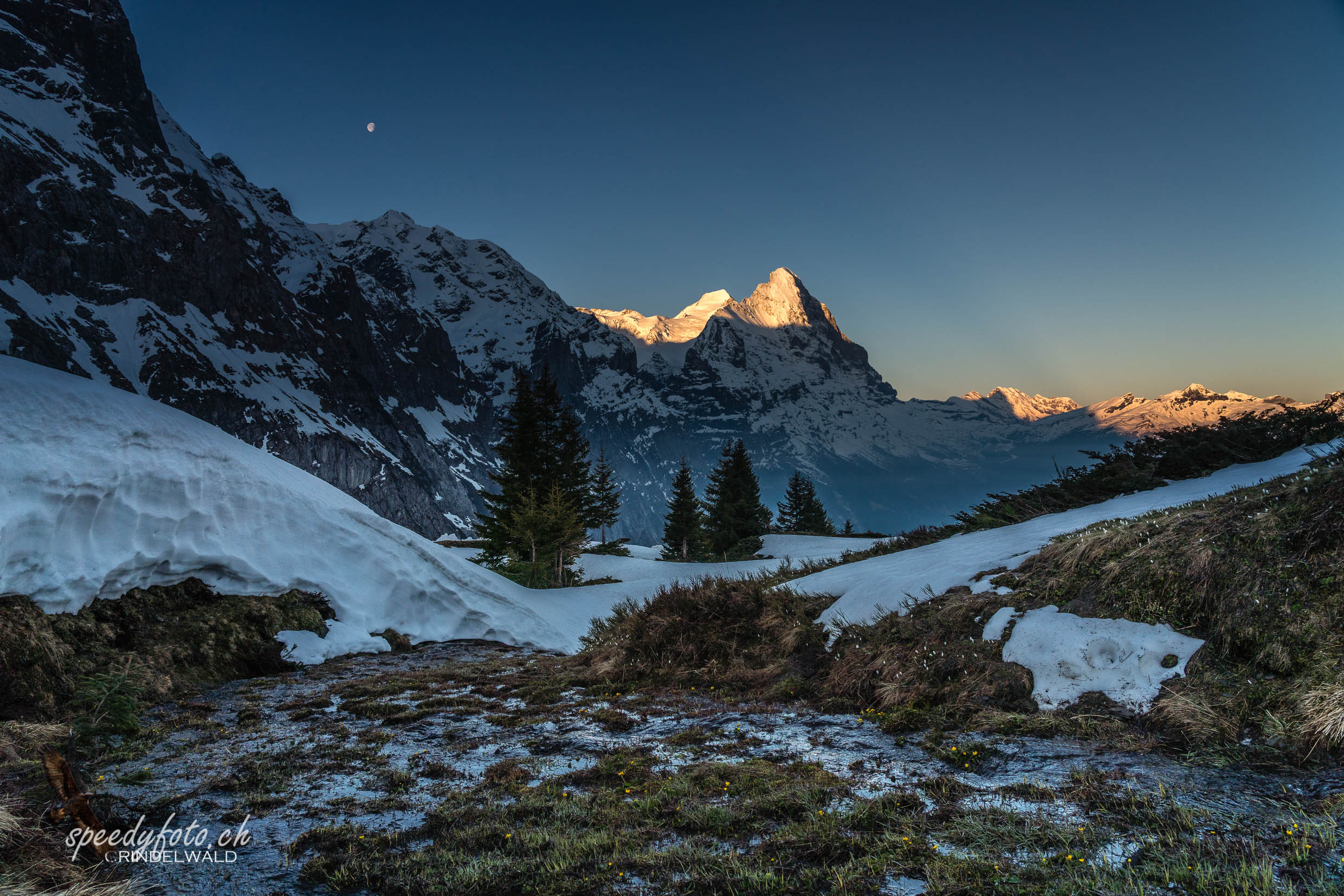 Tagesanbruch Gr Scheidegg - Eiger