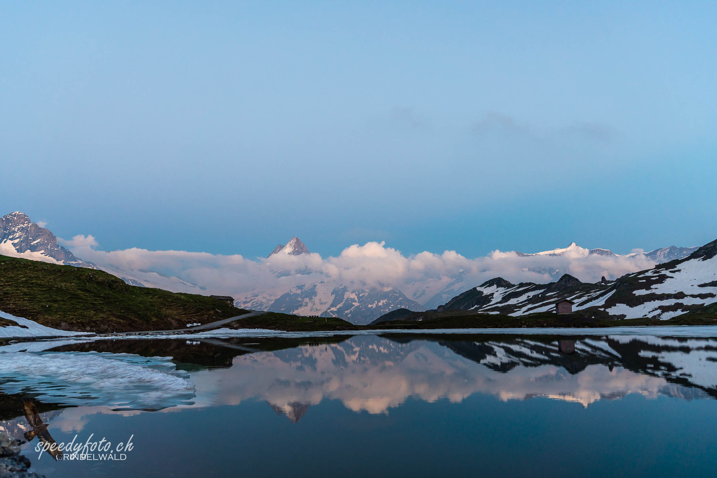 Blaue Stunde am Bachalpsee 