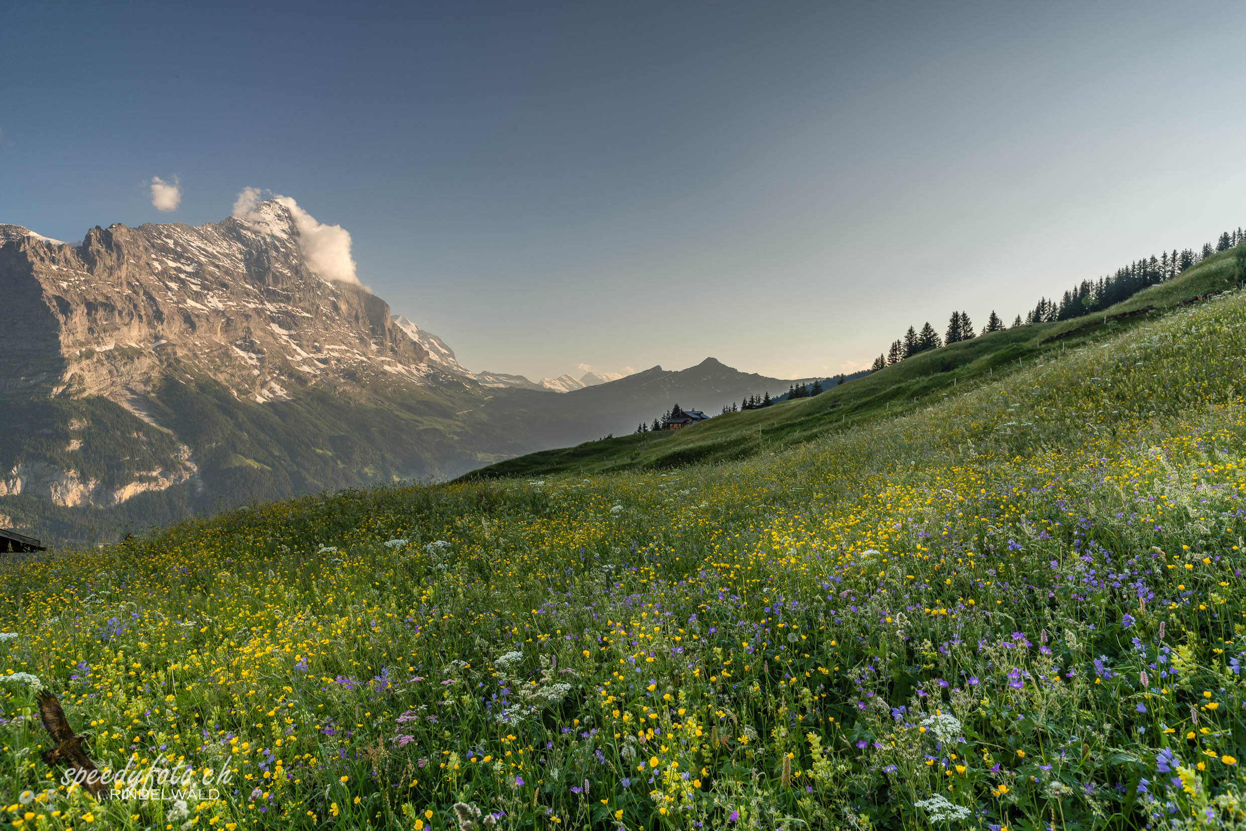 My Land - Grindelwald Eiger