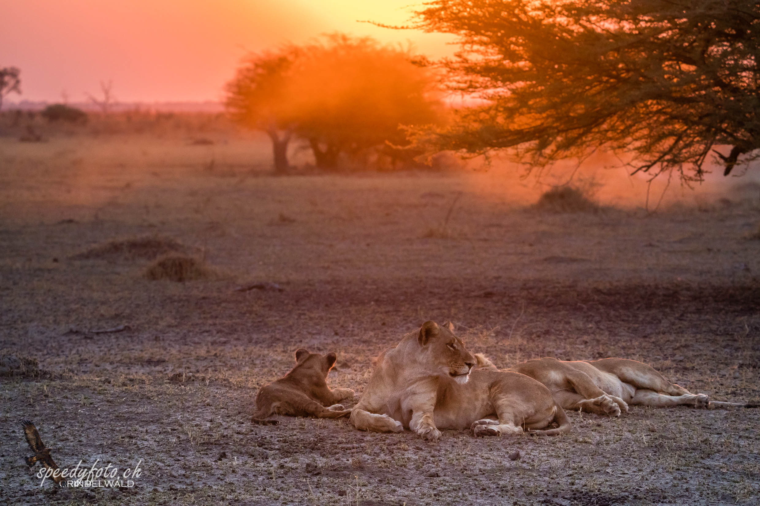 Last Light Meeting 