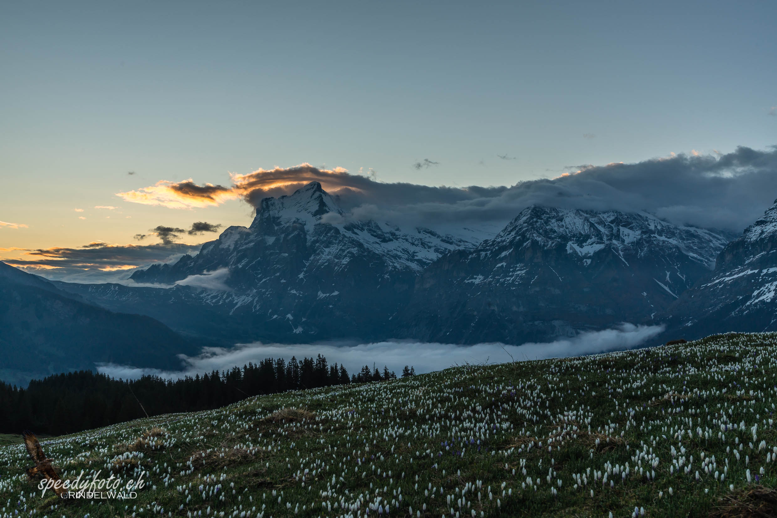 Blaue Stunde - befor sunrise 