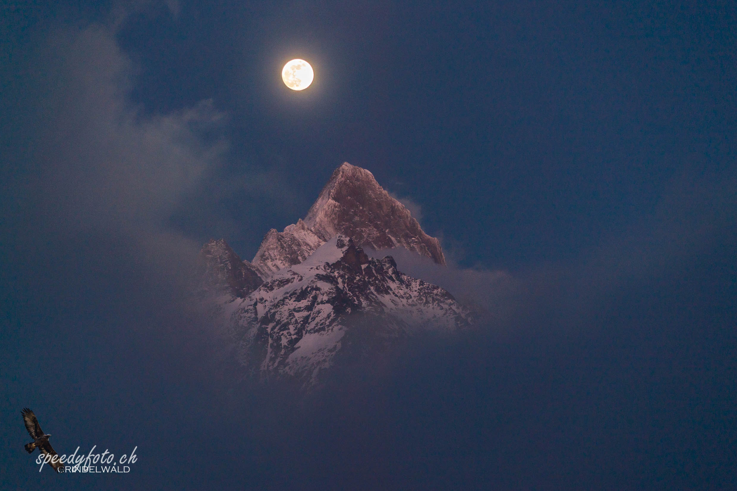 zu später Stunde - Vollmond Schreckhorn 