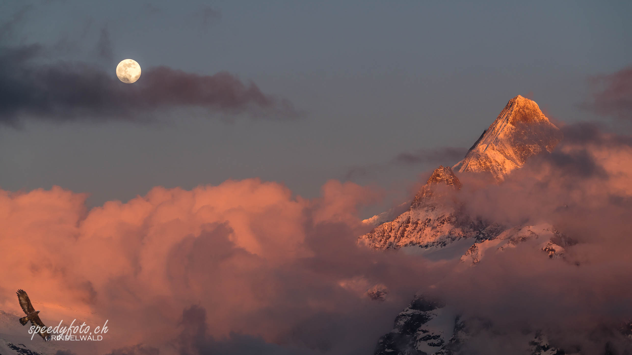 Halb verdeckt - Vollmondstimmung Schreckhorn 