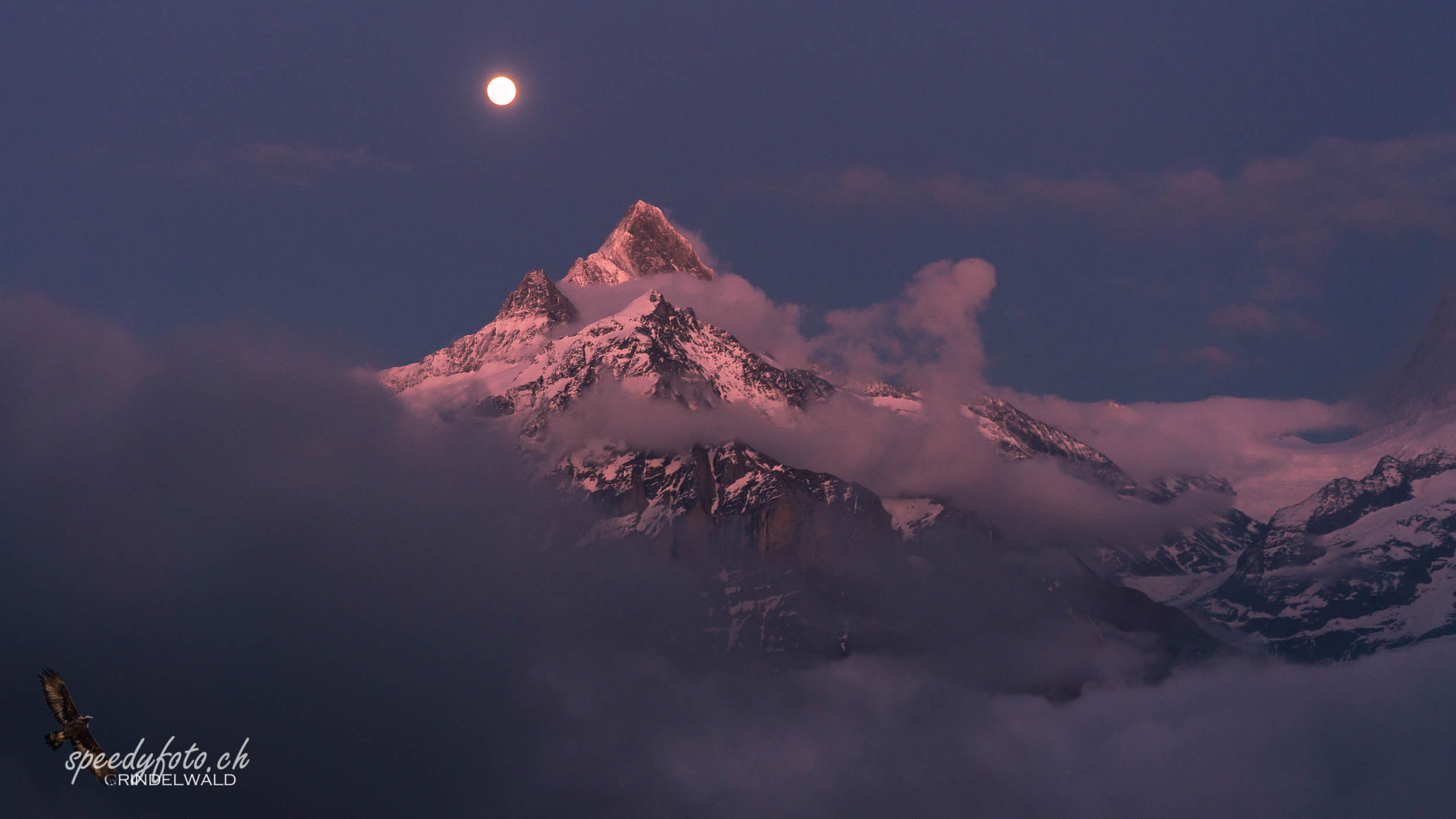 Nacht über dem Berg - Schreckhorn 