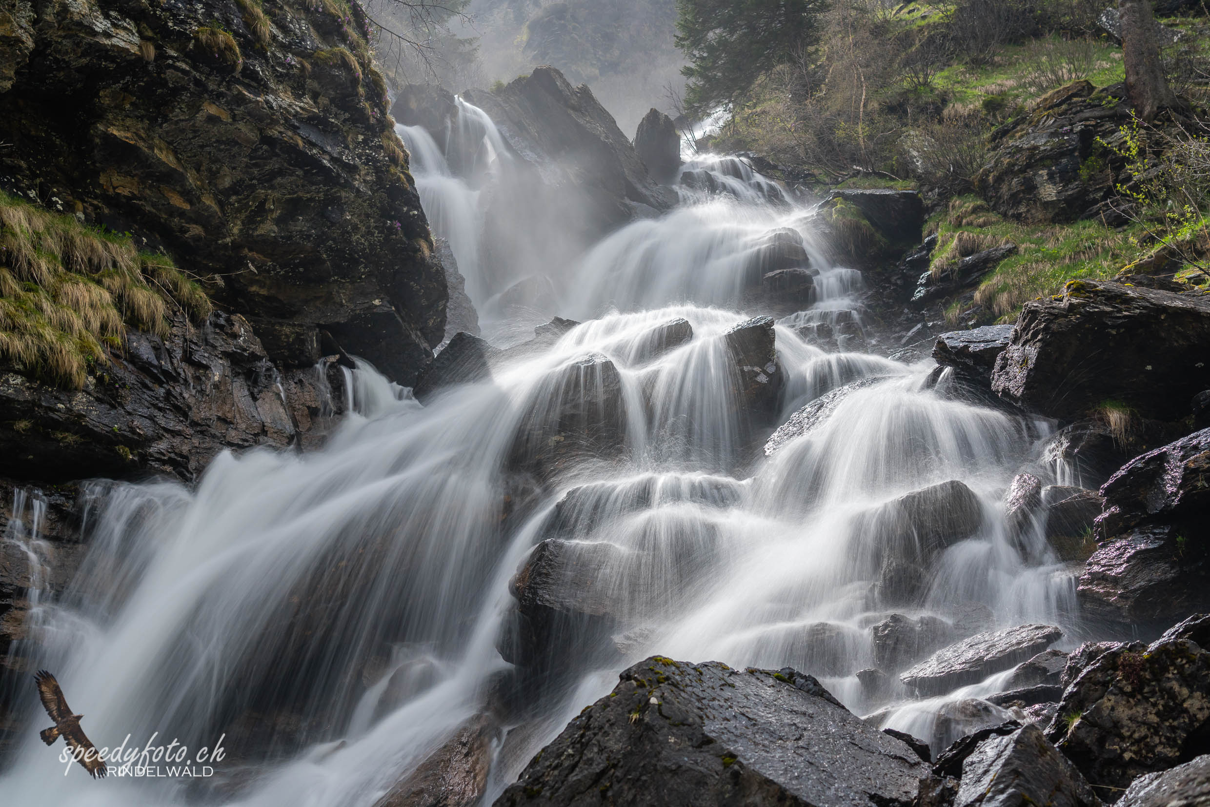 Wildbachrauschen - Grindelwald 