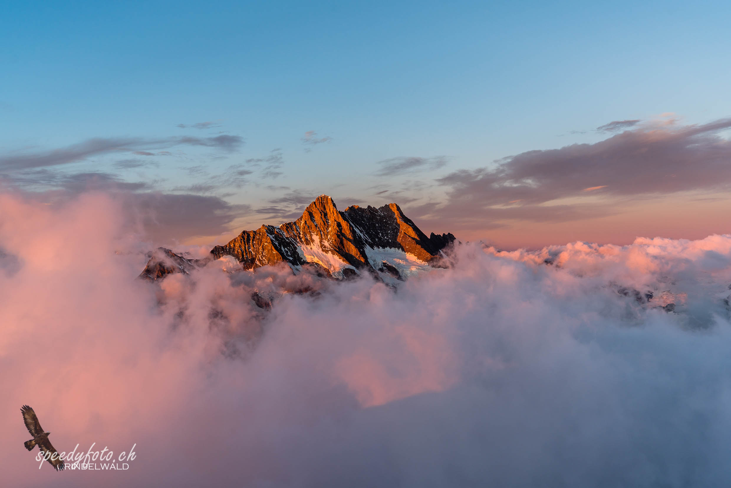 Schreckhorn Abend 