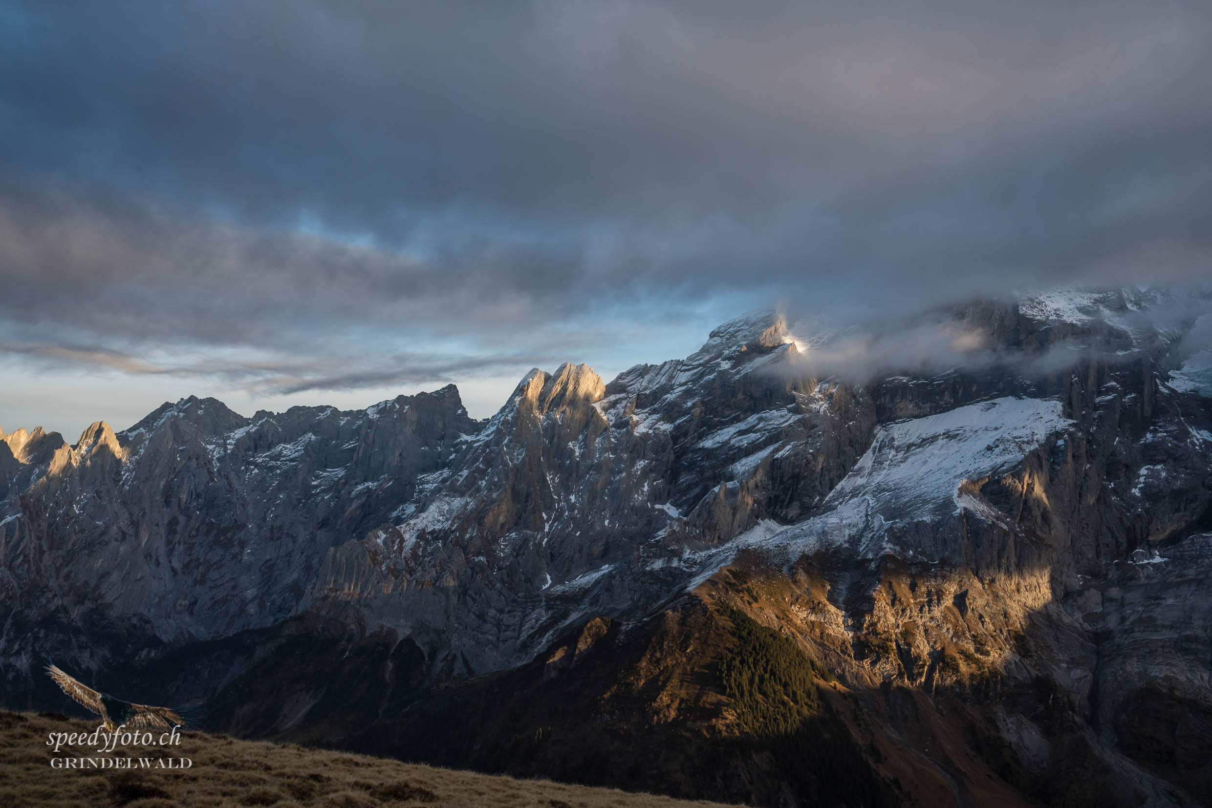 Abendstimmung Engelhörner - Grindelwald 