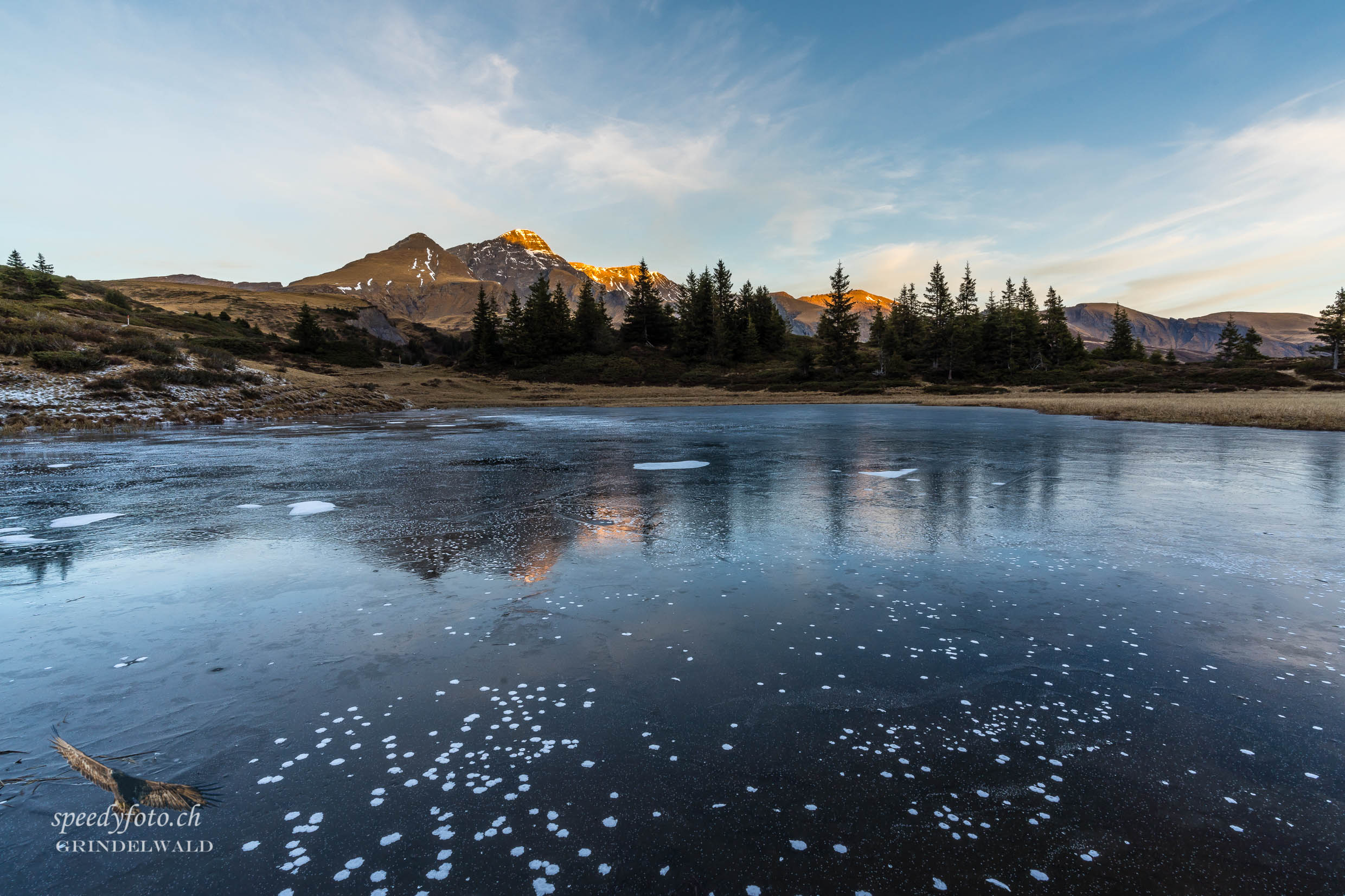 Cold Morning - Gr. Scheidegg 