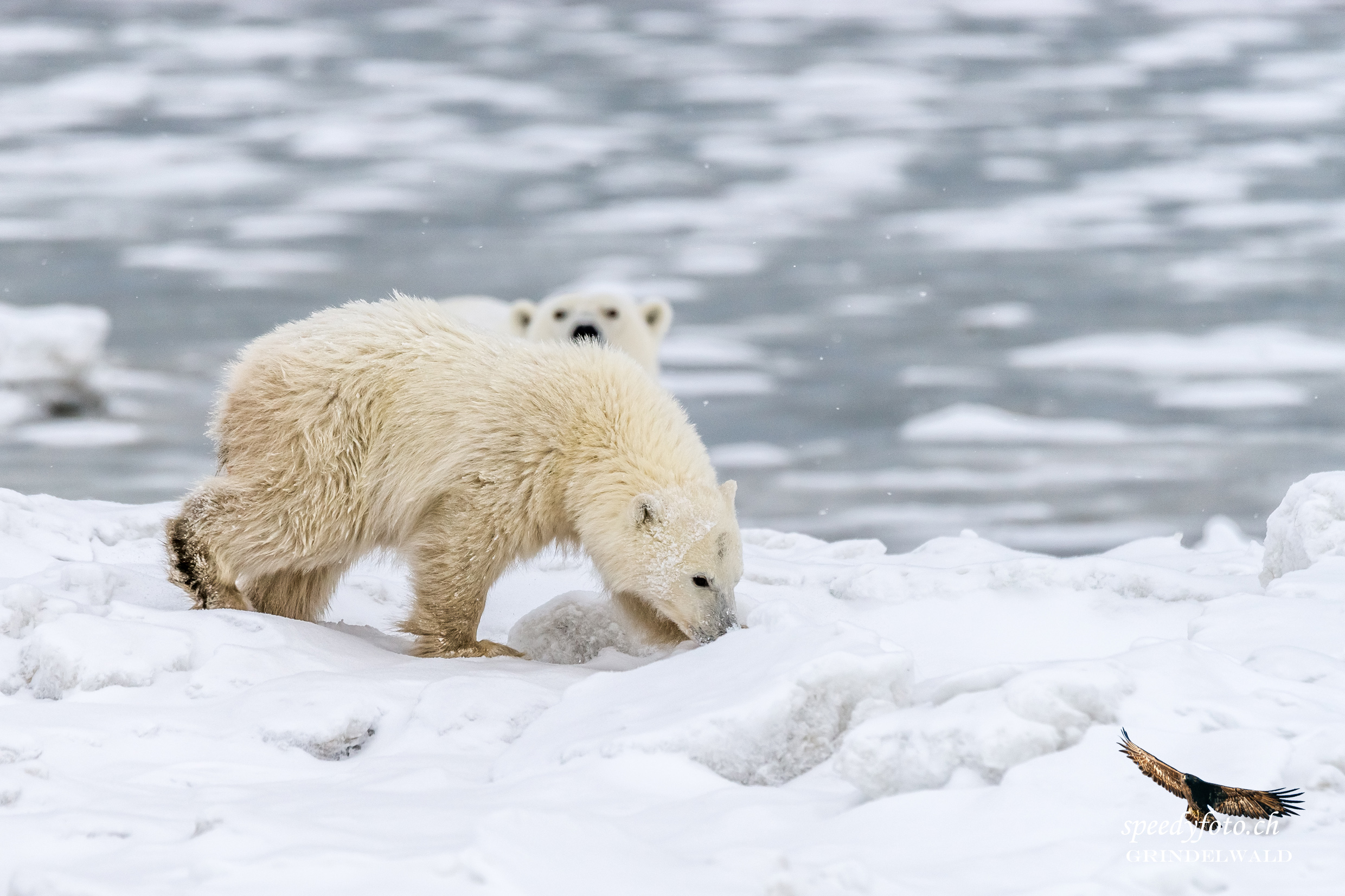 Meeting on a snowy day 