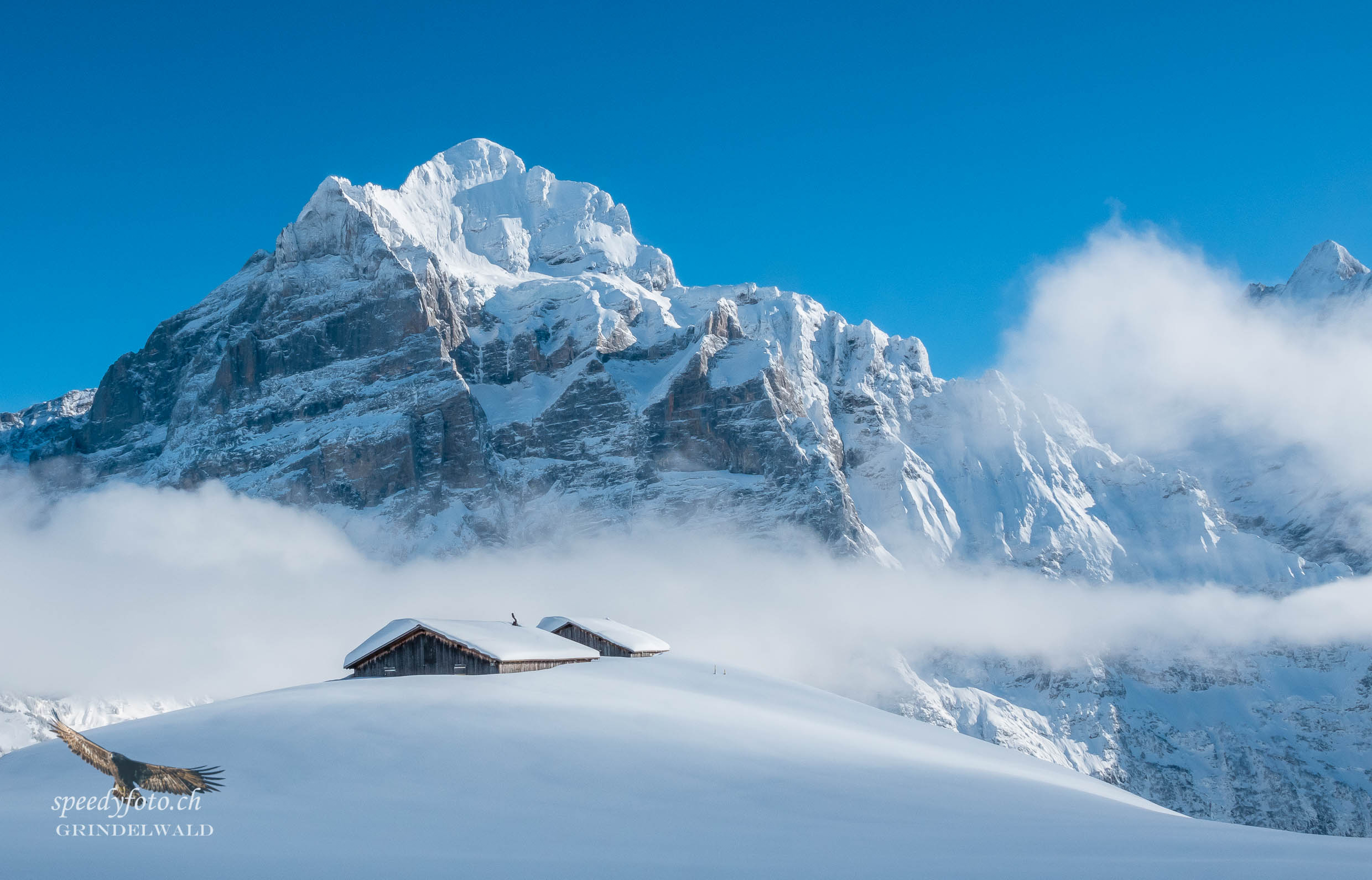 Winteralp - Wetterhorn 