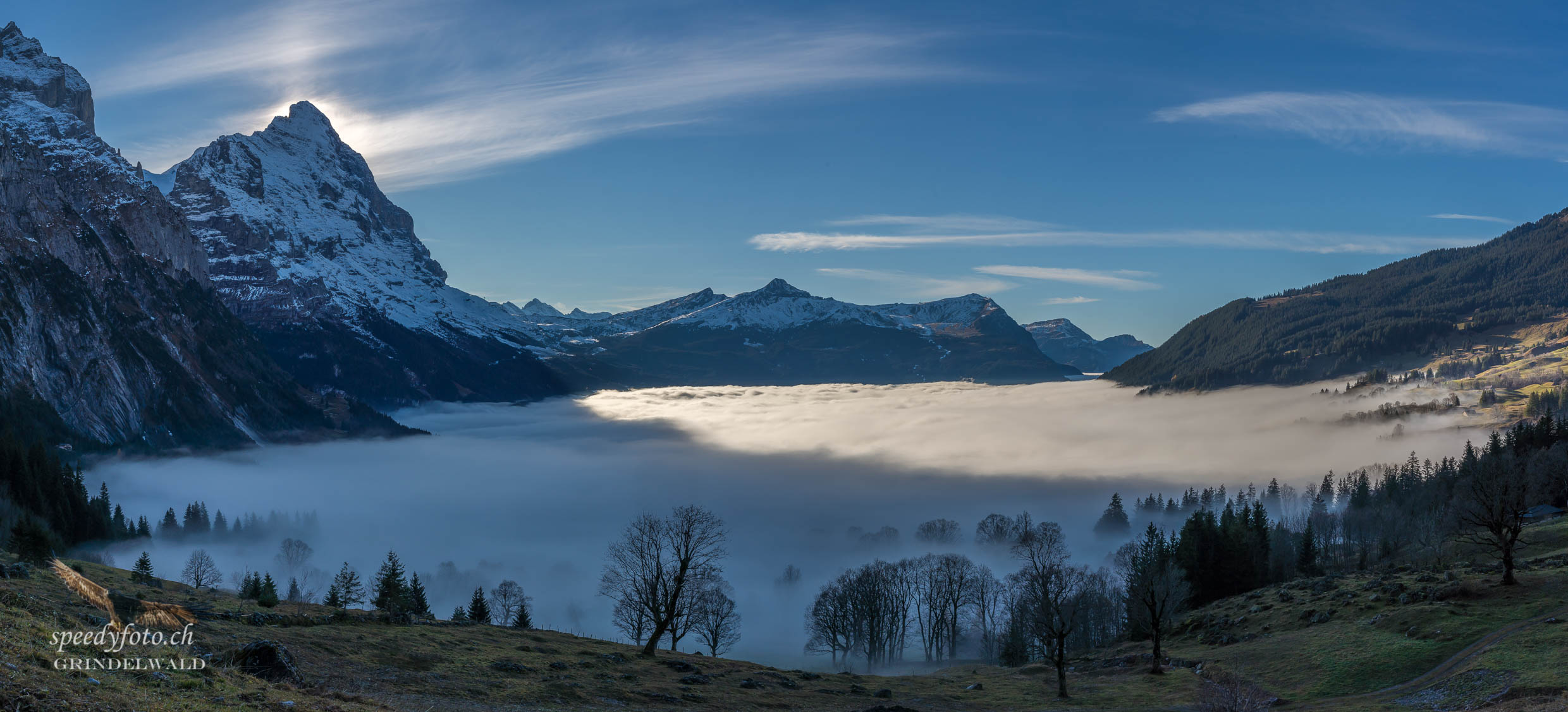 über dem Nebelmeer - Pano Grindelwald 