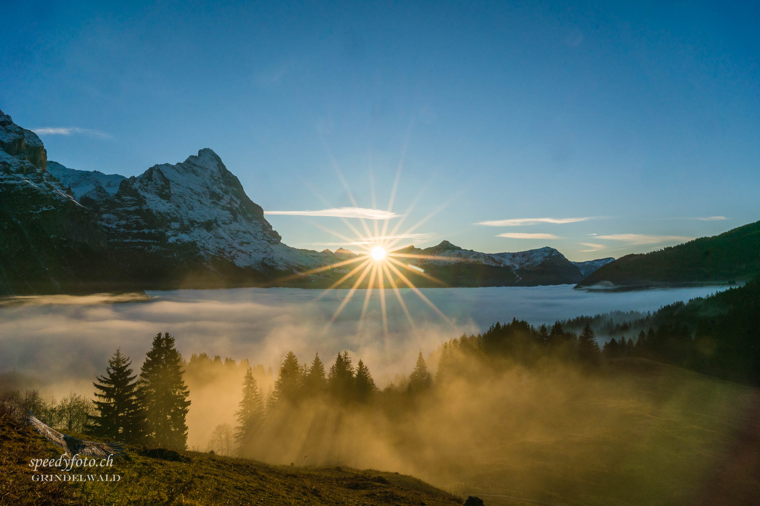 Herbstnebel - Eiger 