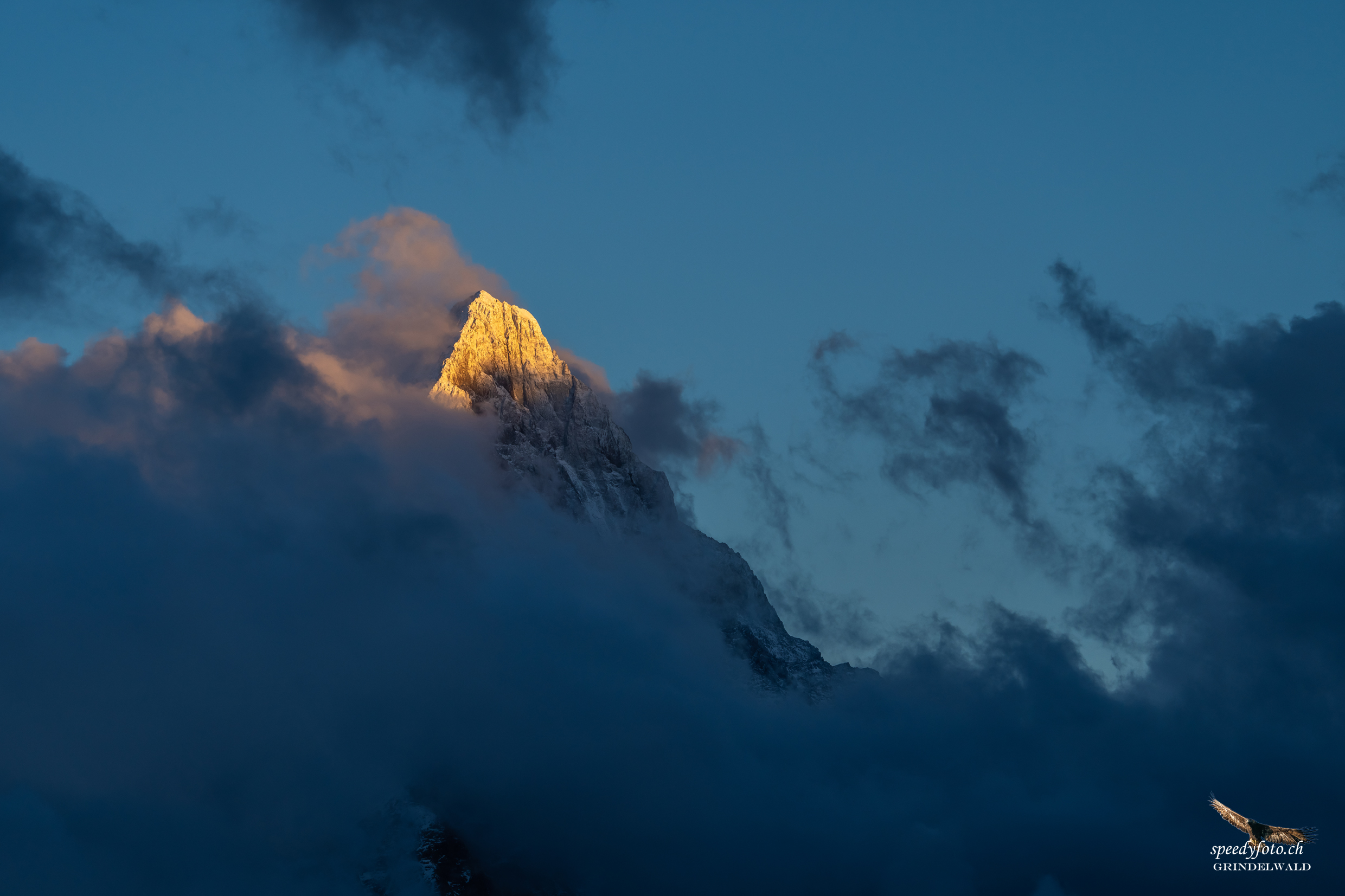 Abendlicht - Schreckhorn 
