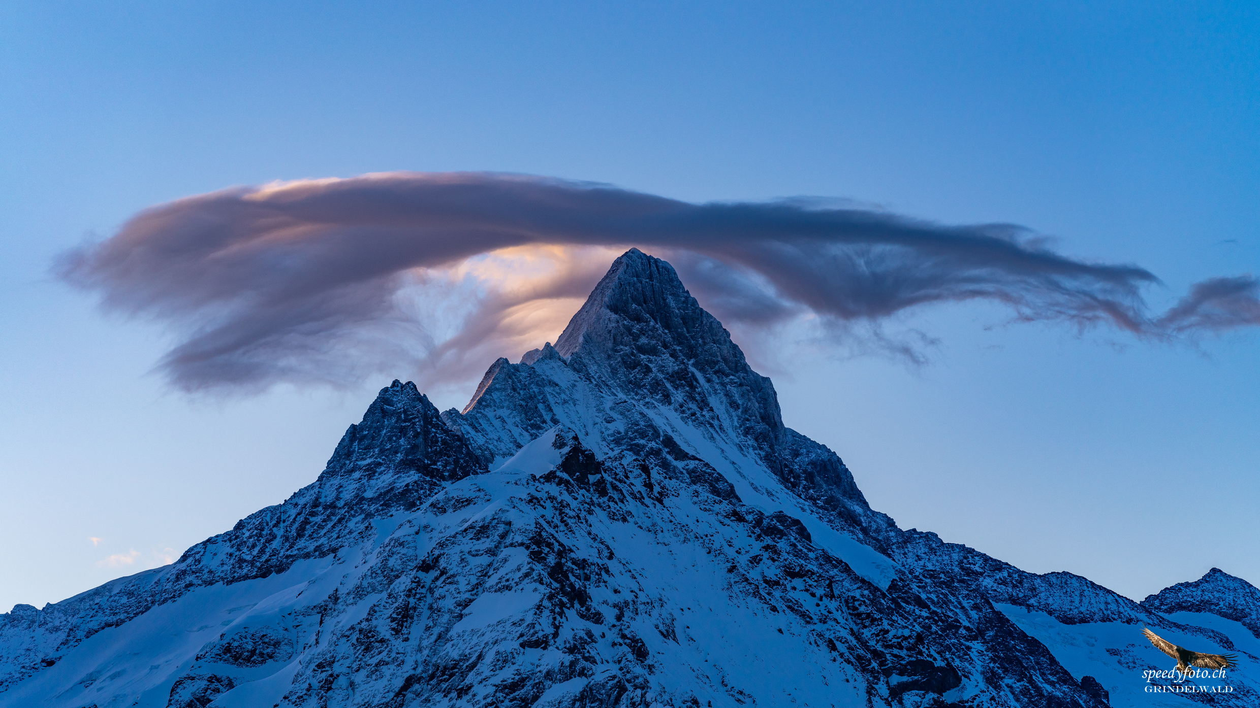 Föhnstimmung zum Tagesanfang - Schreckhorn 